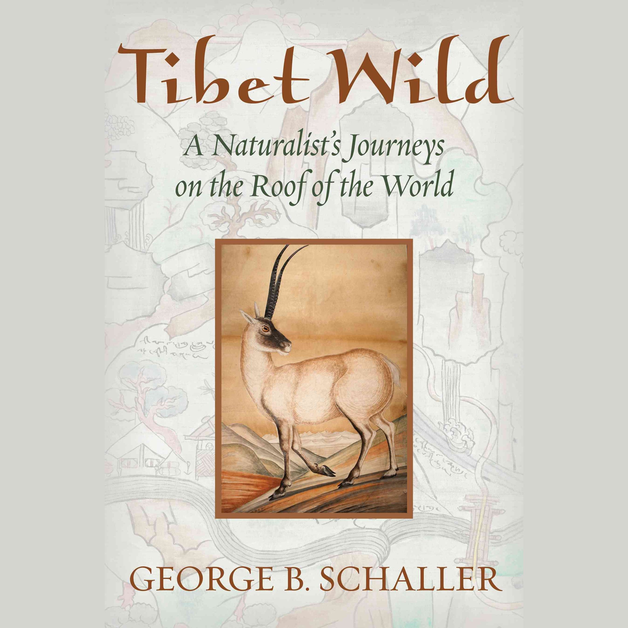 Cover art for Tibet Wild