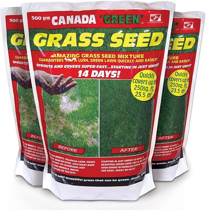 Canada Green Grass Seed, 500 Grams Amazon.co.uk Garden