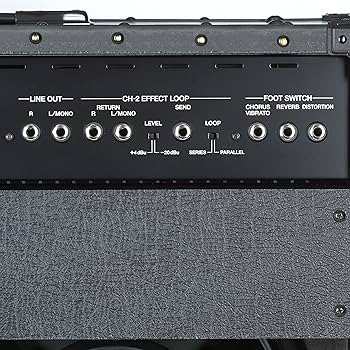 Amazon | Roland/JC-120 Roland 50th Anniversary Limited