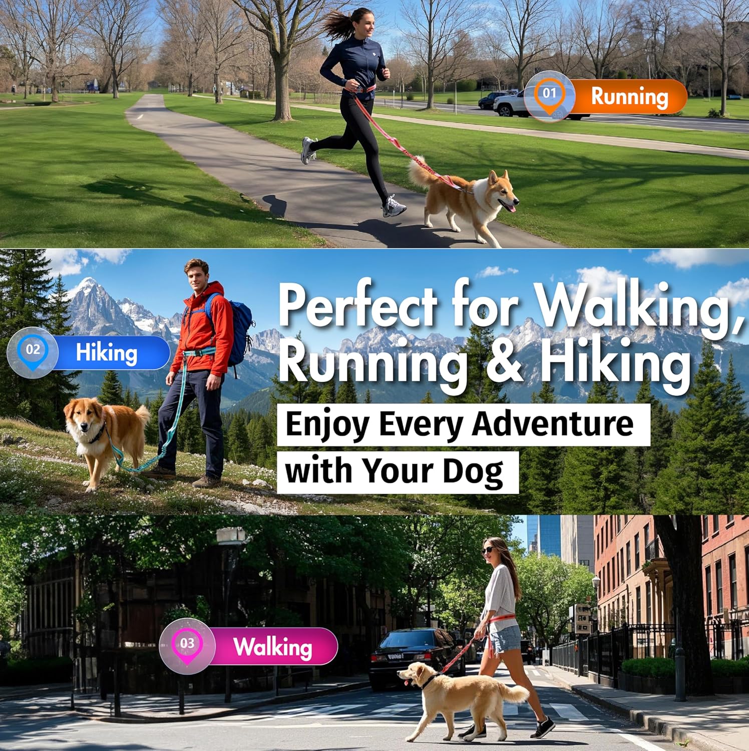 Hands Free Dog Leash with Waist Belt Lifetime Replacement, Dual Handle Bungee Leash for Running, Jogging, Hiking and Walking, for Medium and Large Dogs 5518
