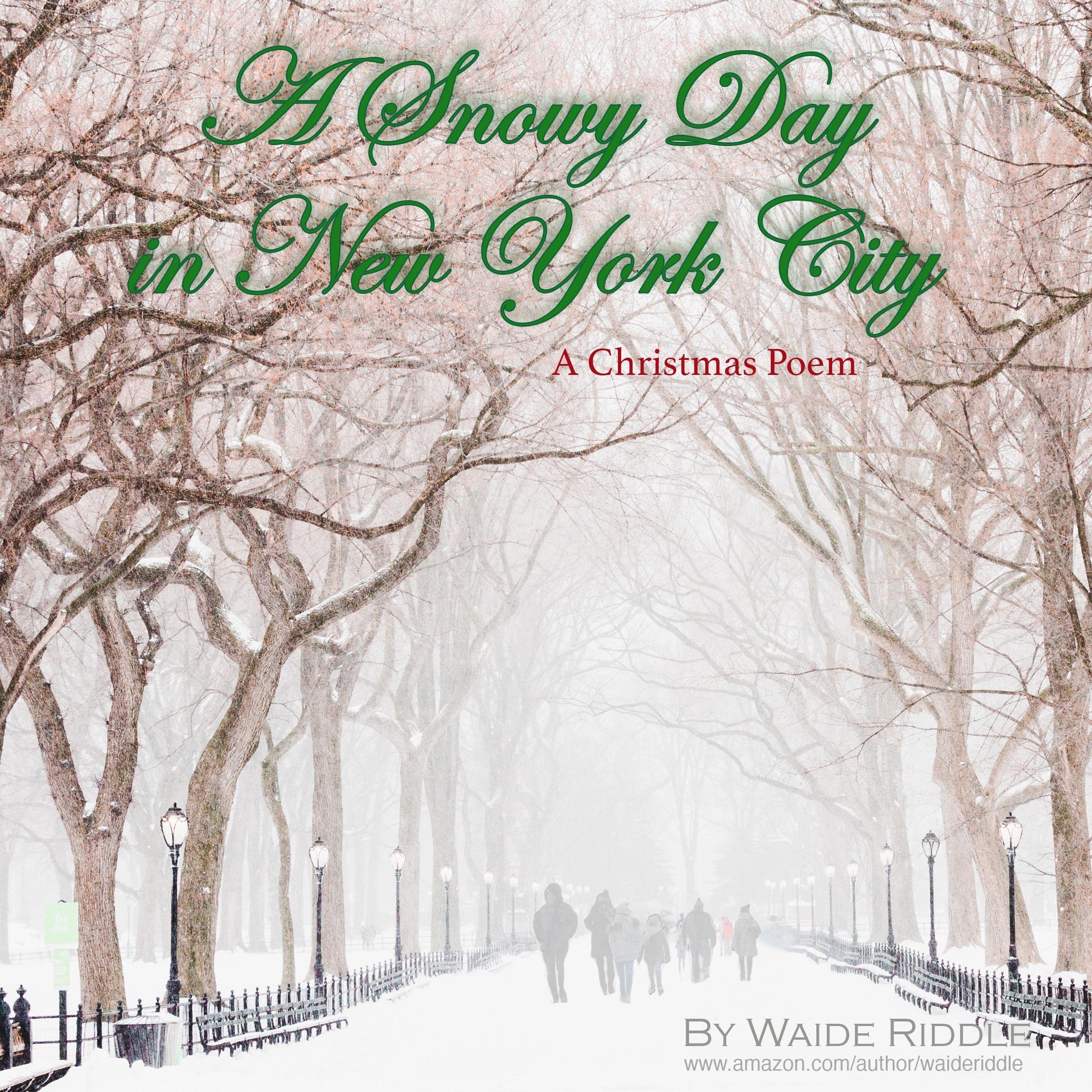 A Snowy Day in New York City