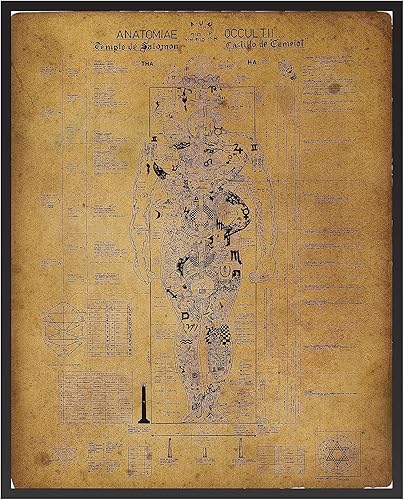 Poster Master Póster vintage de anatomía oculta, impresión retro de cuerpo humano, arte oculto, arte de Halloween, regalo para hombres y mujeres,