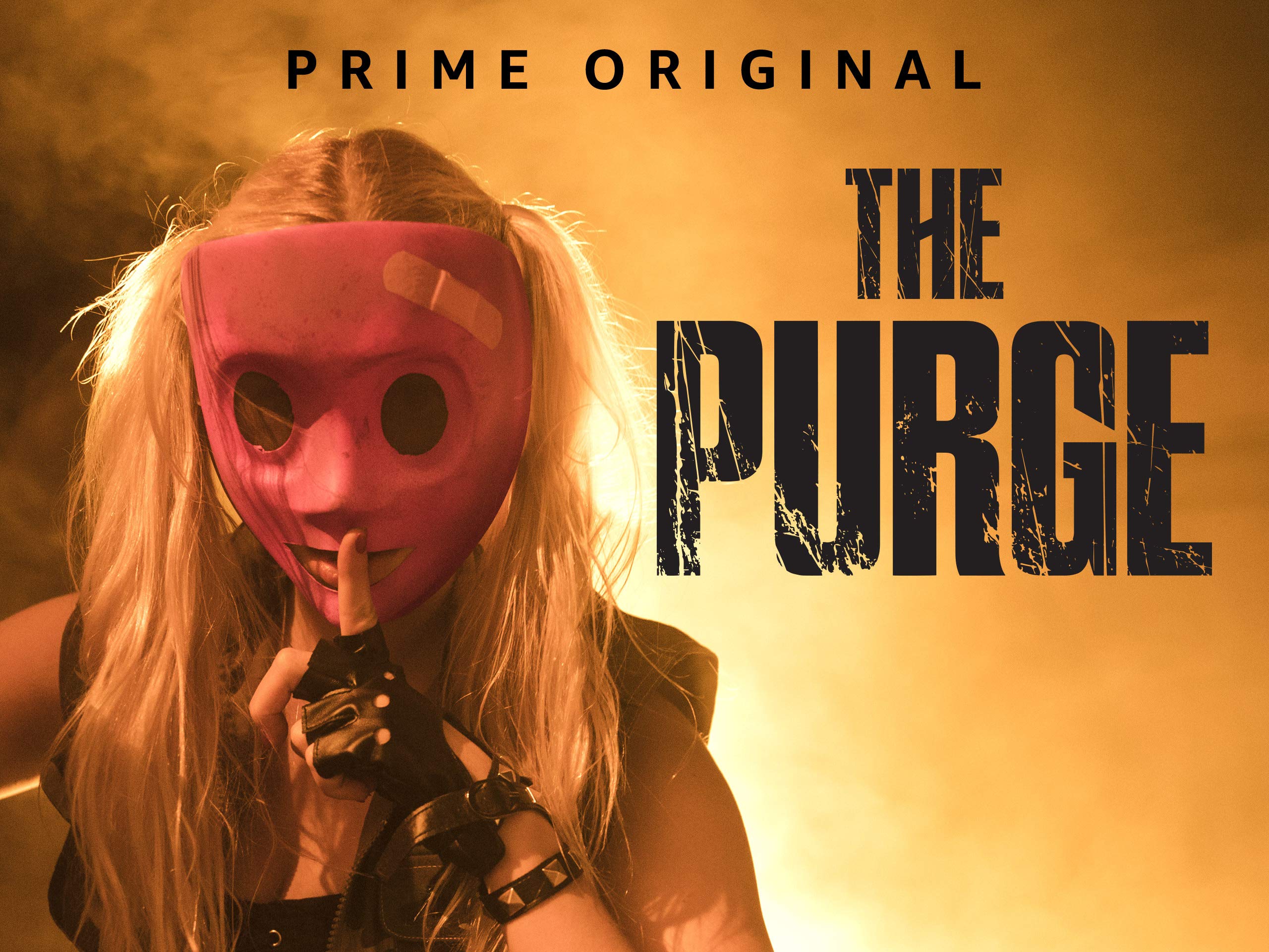 The Purge (TV Series)