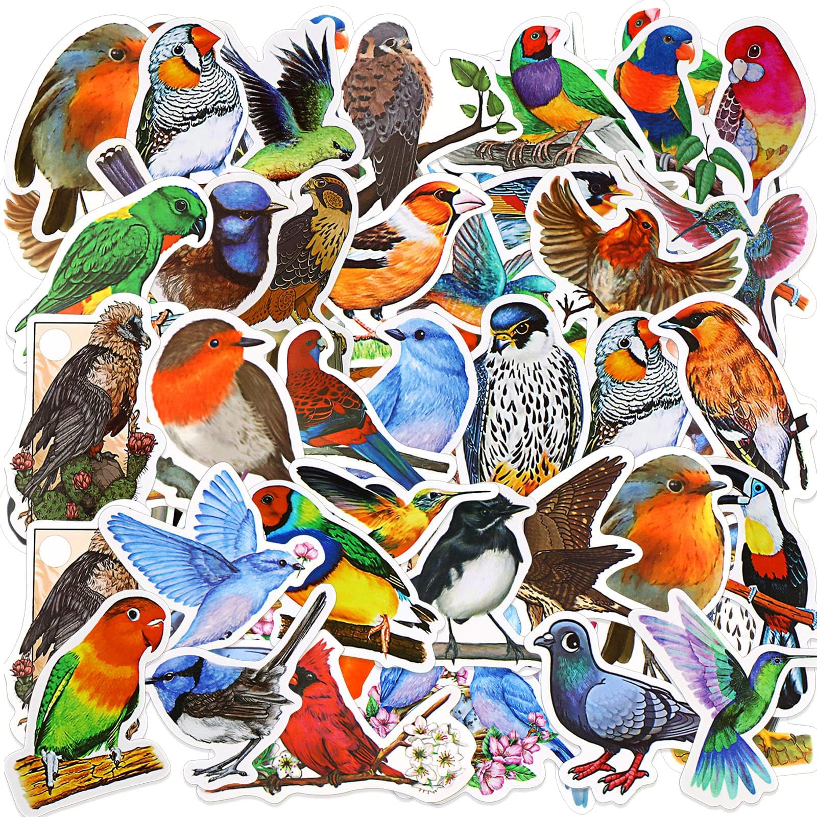 Geyee 100 Pcs Bird Stickers Pack Waterproof Vinyl Cute Bird Stickers Cartoon Bird Laptop Decals Bird Party Favors for Water Bottles Wall Skateboard Computer Scrapbook Phones