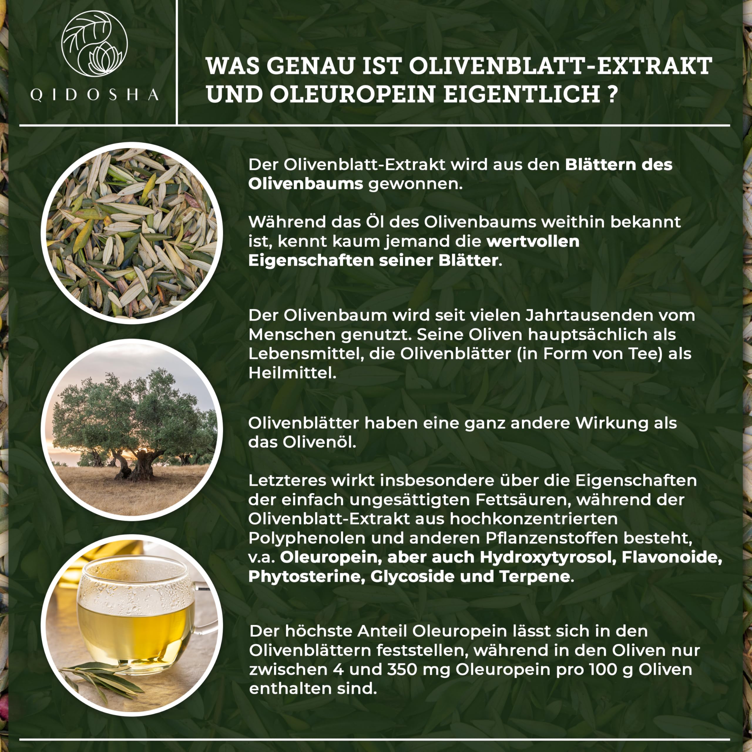 QIDOSHA® Olivenblatt Extrakt hochdosiert mit 60% Oleuropein, 180 Kapseln, höchster Oleuropein-Gehalt im Markt, jede Charge u.a. auf Pestizide und Schwermetalle in externem Labor geprüft