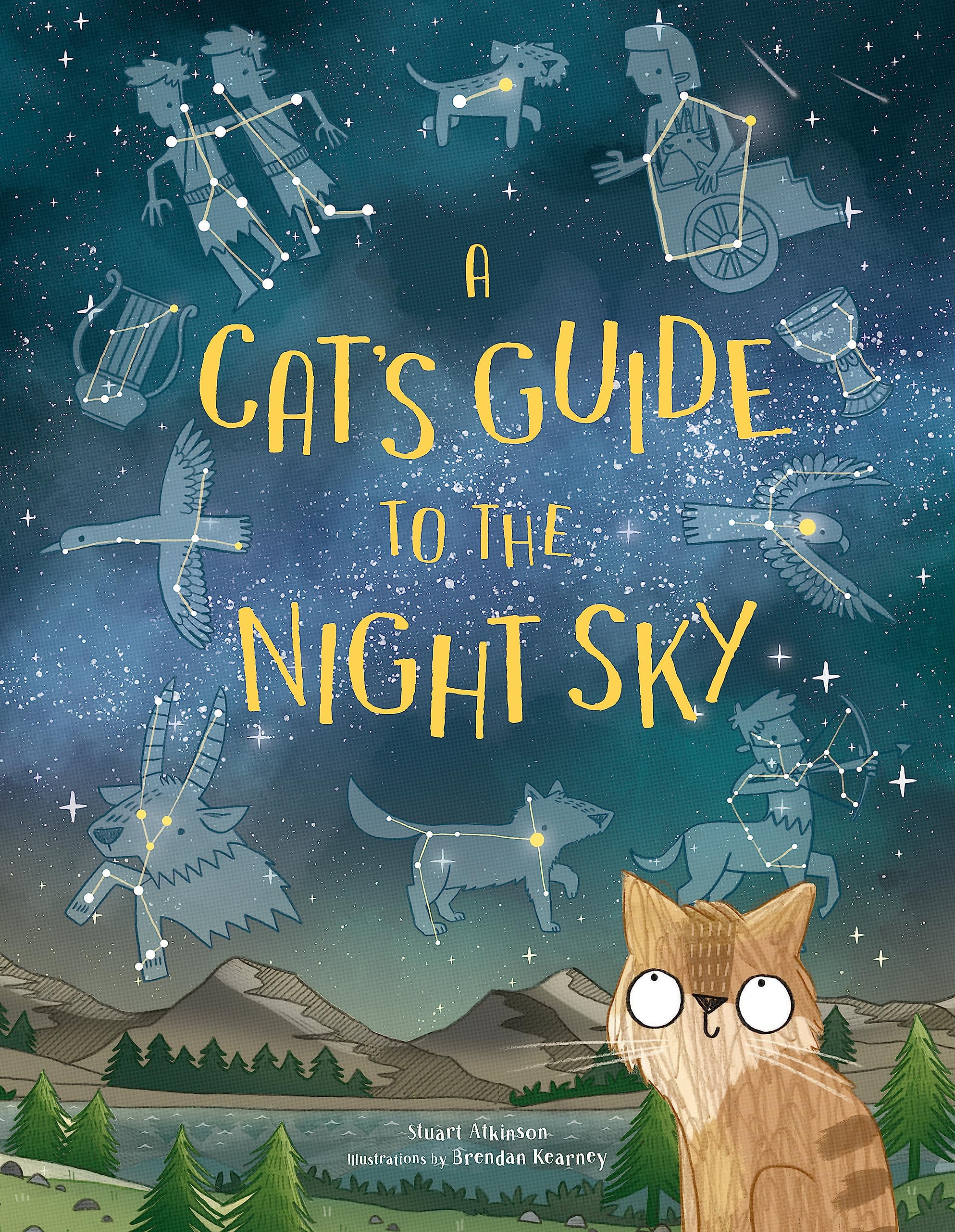 A Cat's Guide to the Night Sky
