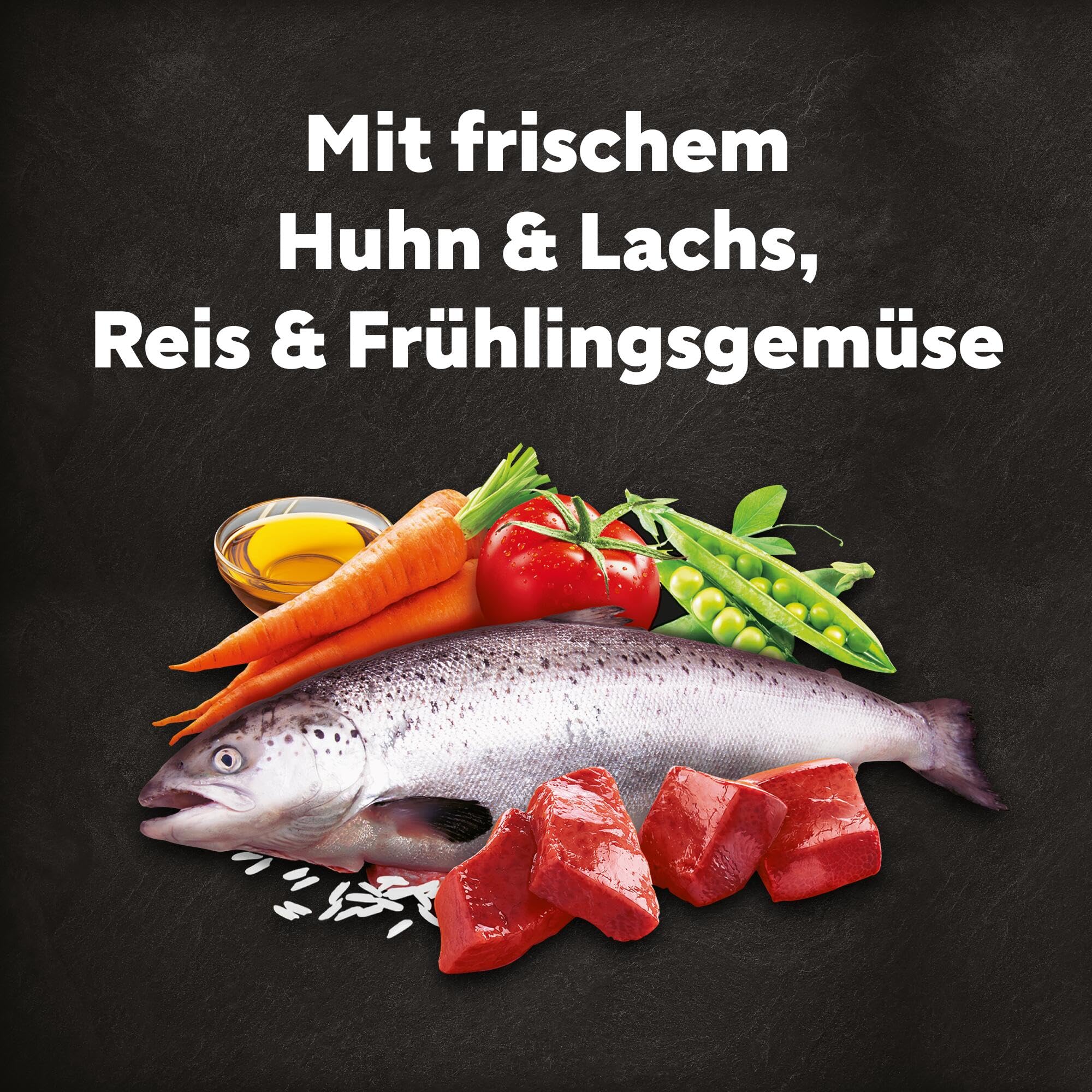 Cesar 5 x 1.4 kg Adult Hundetrockenfutter mit frischem Huhn, Lachs & Gemüse