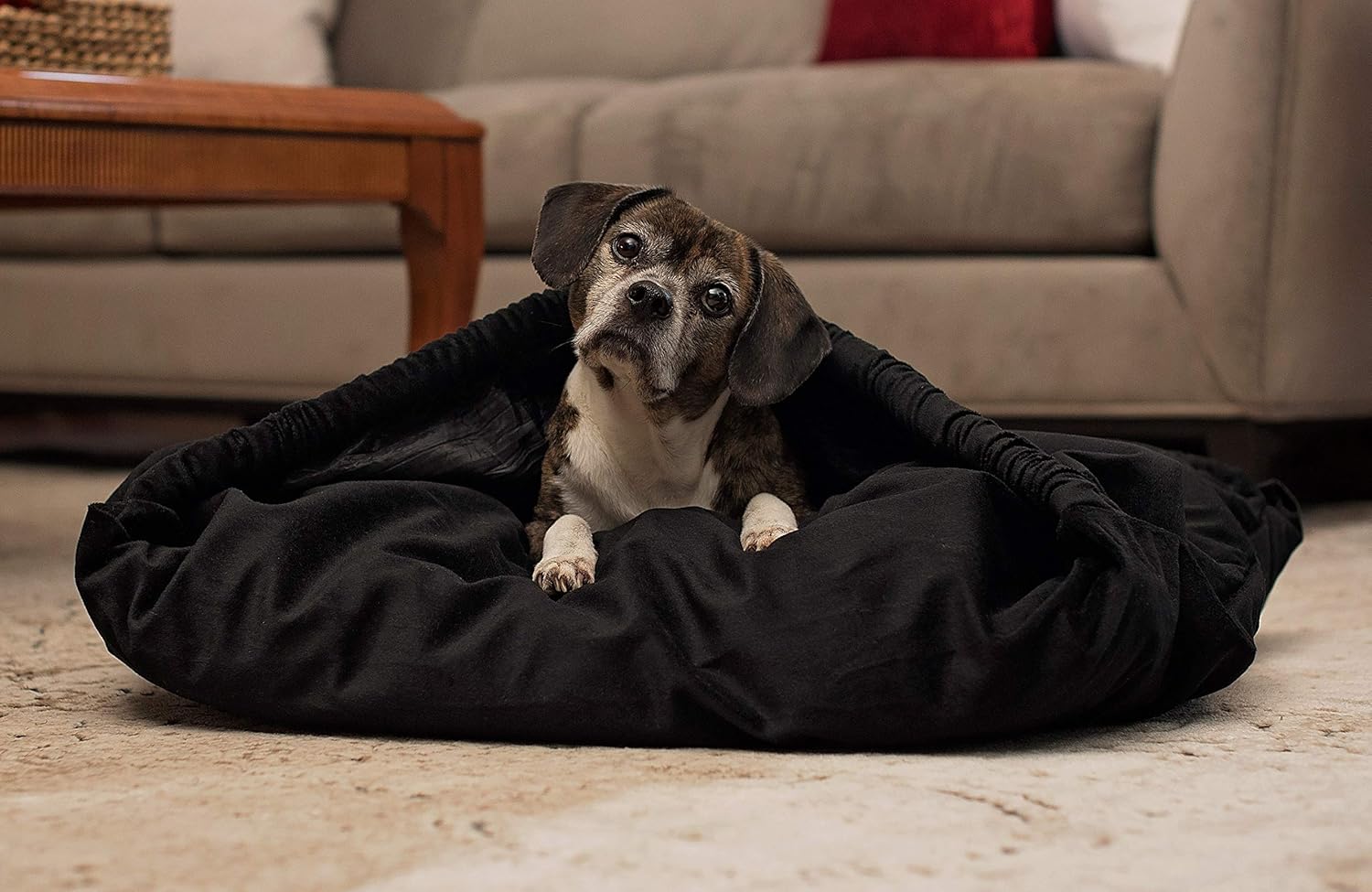 burrow dog bed amazon