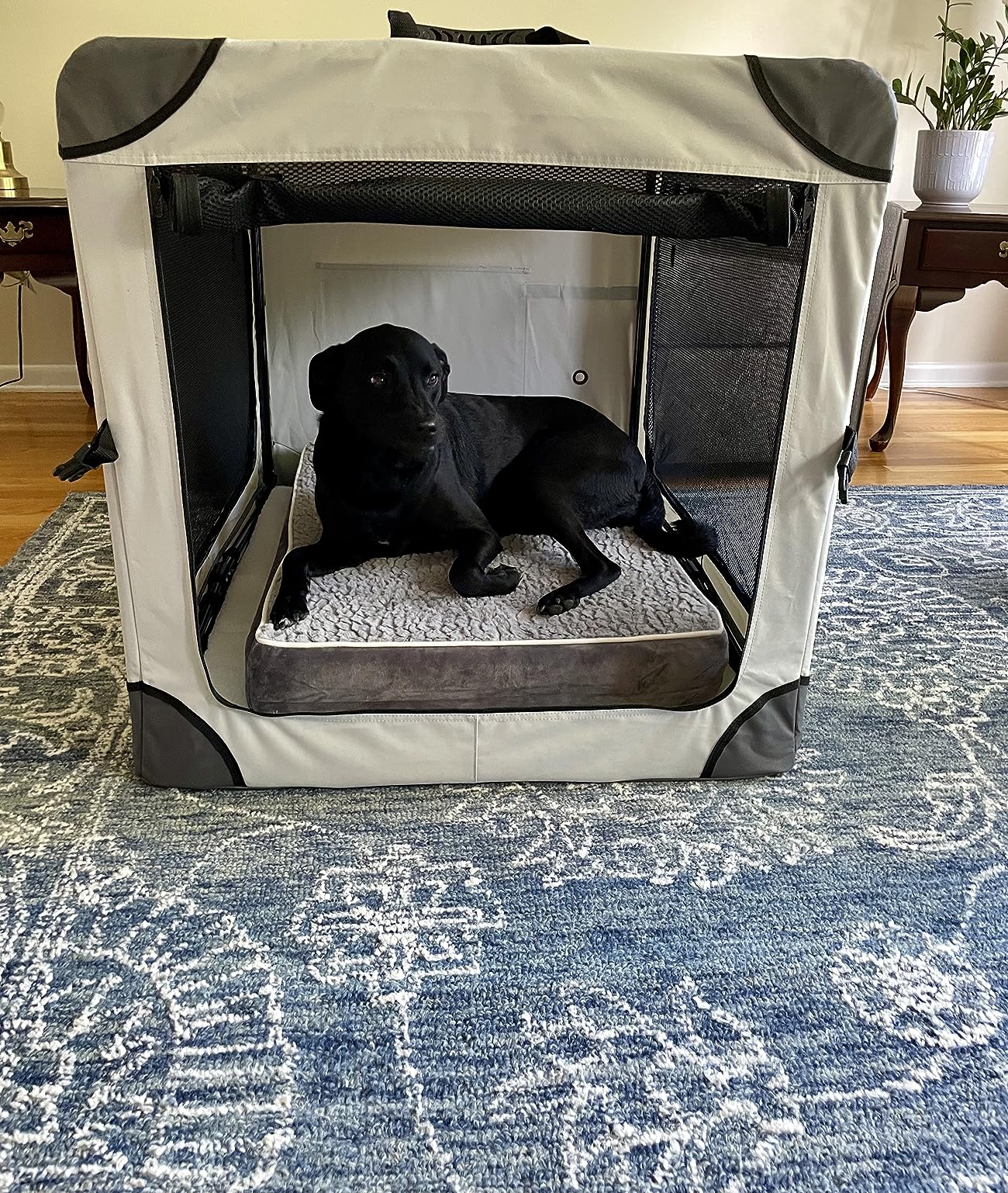 20/mo Finance EHEYCIGA Collapsible Extra Large Dog Crate, Portable