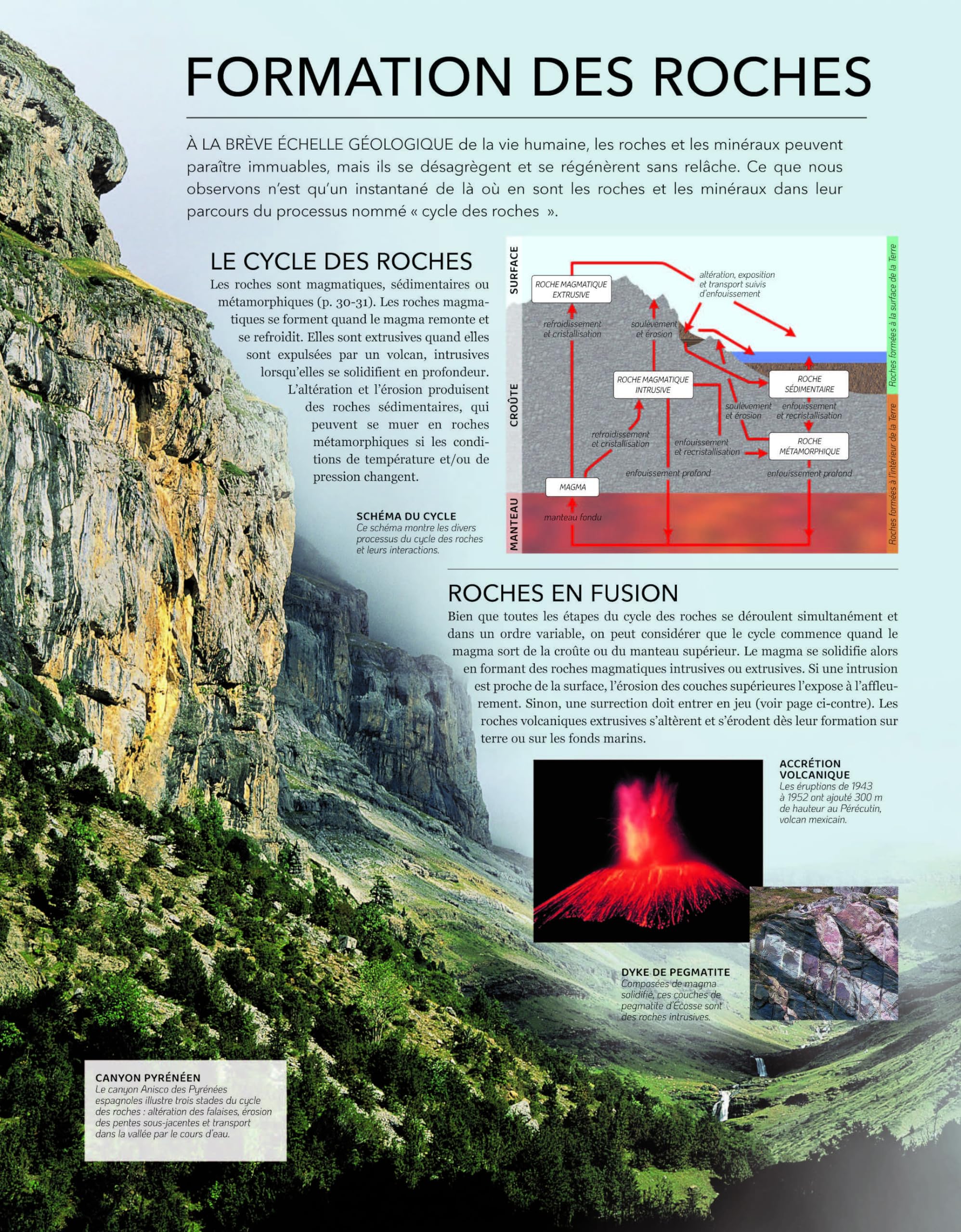 Le Grand livre des roches et minéraux du monde