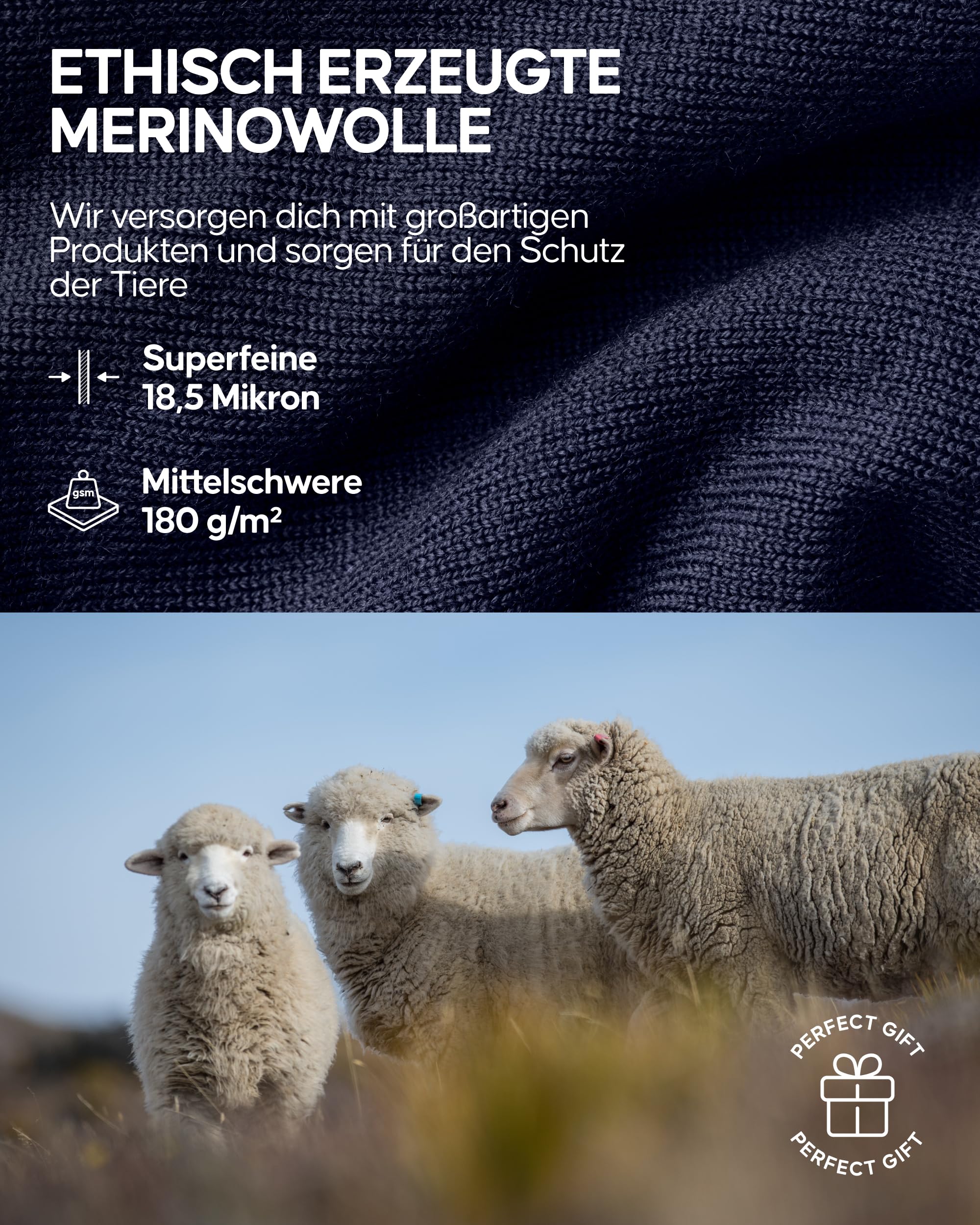DANISH ENDURANCE Merino Shirt Damen, Reißverschluss & Rollkragen, Half Zip Langarmshirt, Premium Thermounterwäsche, Skirolli, Thermoshirt, Warm & Atmungsaktiv