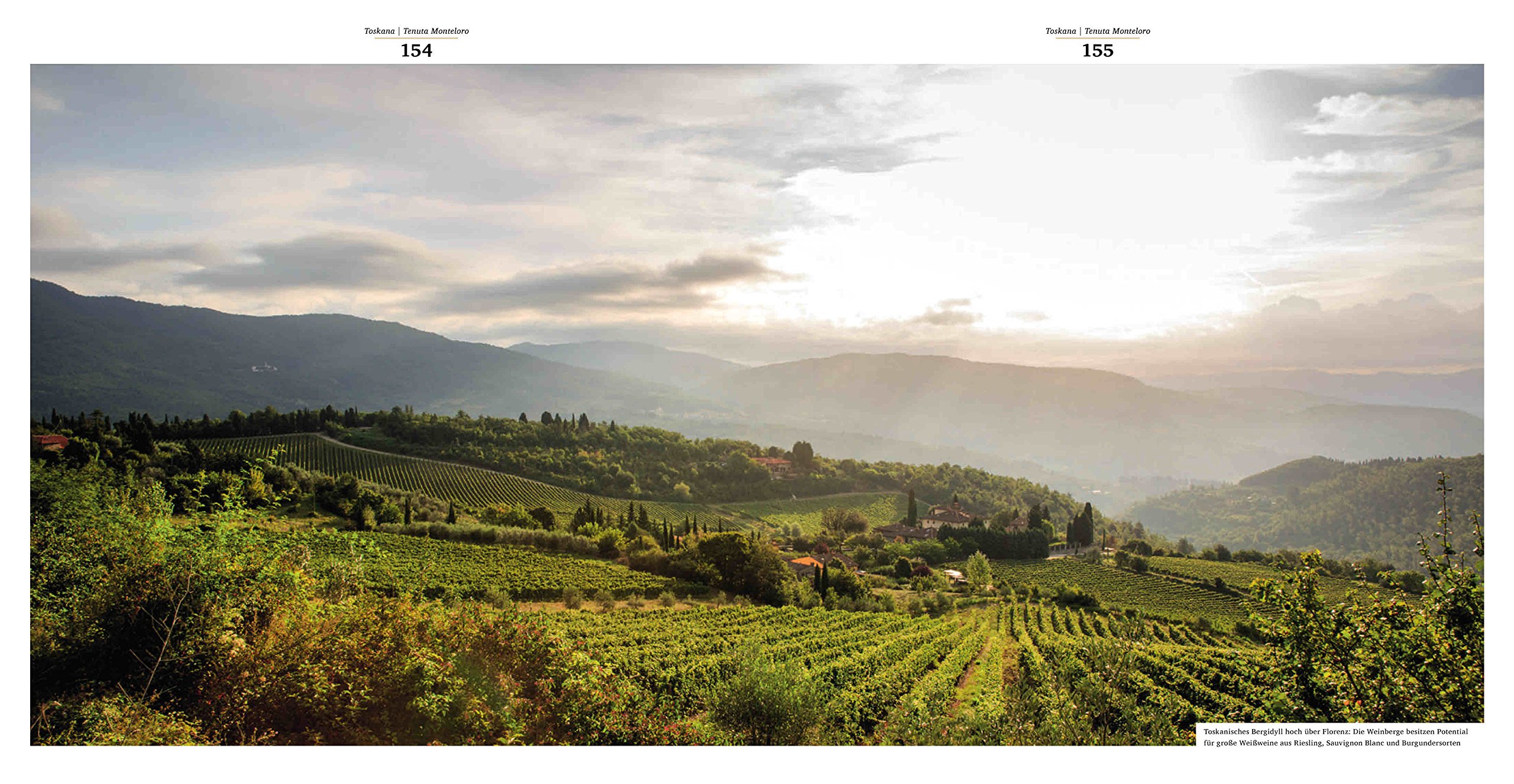 Marchesi Antinori: 26 Generationen Weinbau