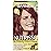 Garnier Nutrisse Nourishing Color Creme, 76 Rich Auburn Blonde (Hot Tamale) (Packaging May Vary)
