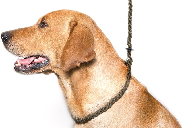 Dog & Field Deluxe Gundog Slip Lead (Olive Green) Soft 8mm Spliced Marine Rope with Rubber Stopper - One Size Fits All and Suitable For All Breeds of Dog with 2 Colour Options (Olive Green)