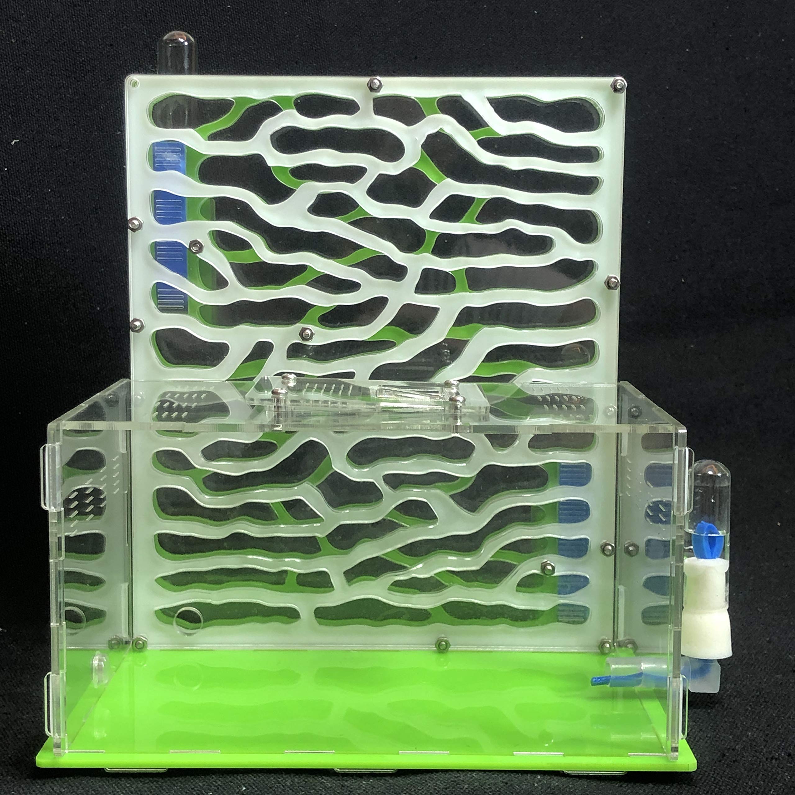 6 strati Formica Uva Zona di alimentazione dell'umidità Fattoria di formiche Acryl Insect Villa Formiche Nido Villa Advanced Pet Mania for Forms House (white)