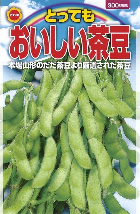 21福袋 本場 だだ茶豆 アタリヤ農園 日本一おいしいと言われる枝豆 本場山形庄内産の茶豆 野菜種 M Rmladv Com Br