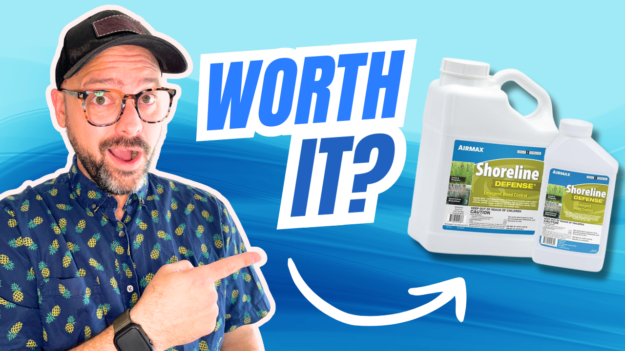 Watch EVERYTHING to know BEFORE you buy on Amazon Live