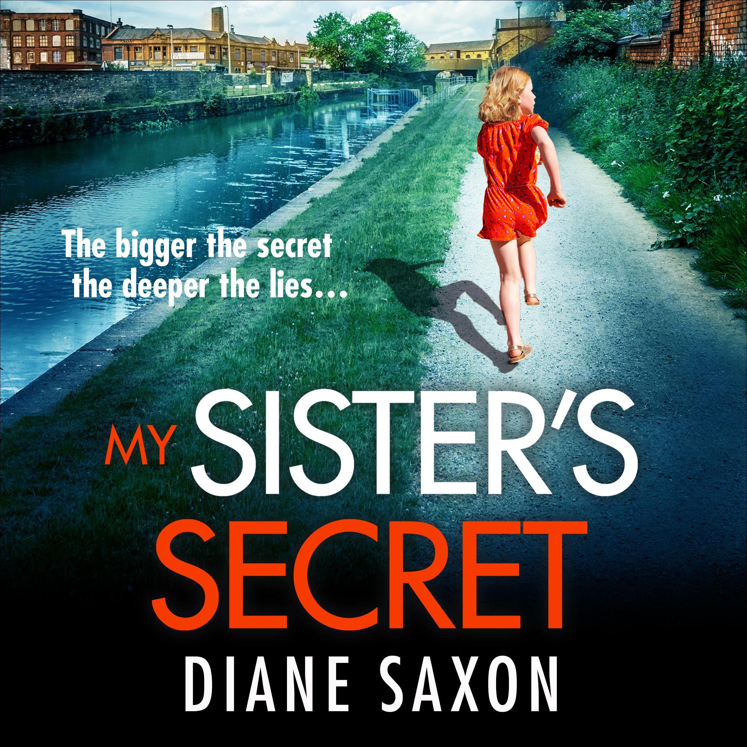 Cover art for My Sister's Secret