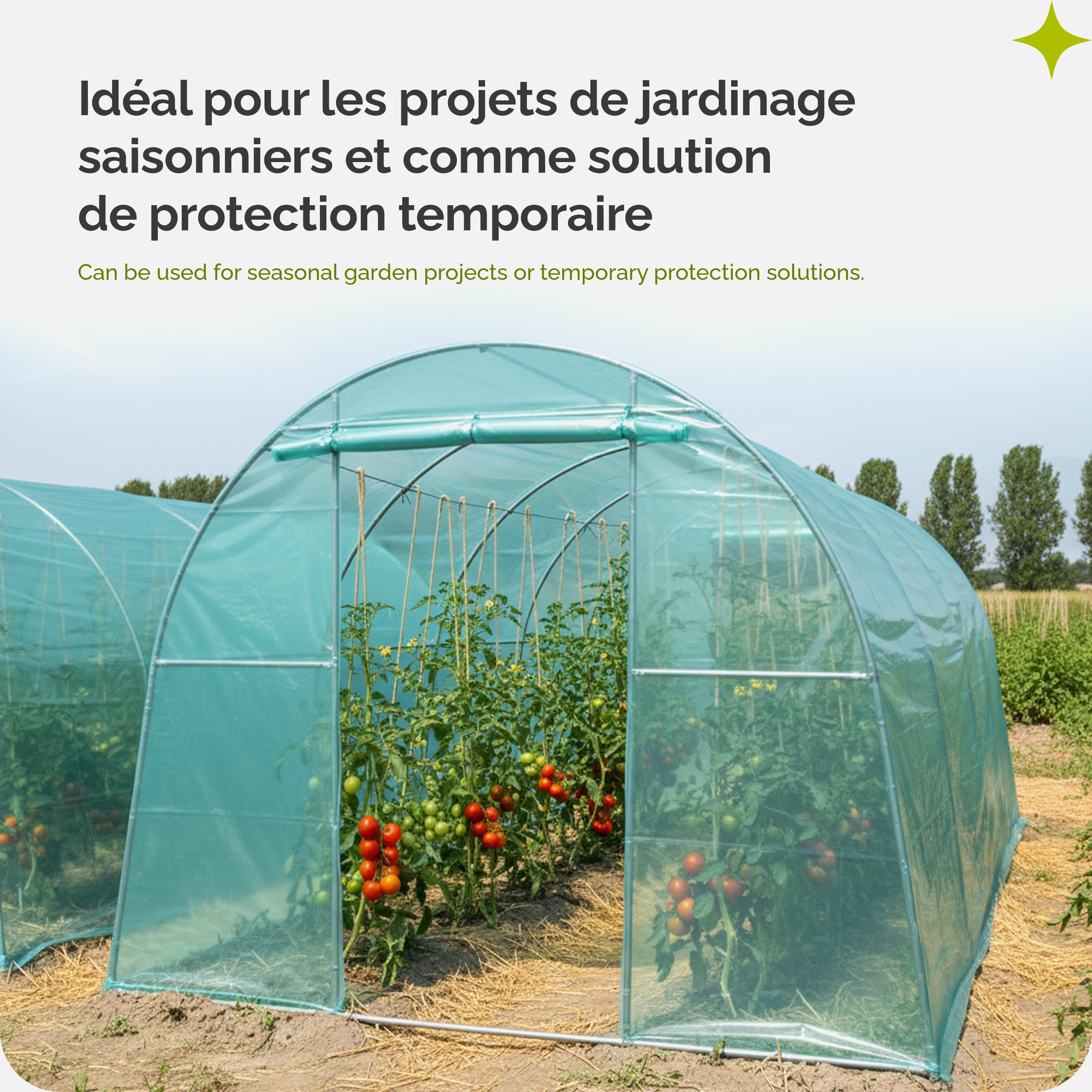 Garronda Bâche pour Serre de Jardin 6x4 m - Film Plastique pour Serre Tunnel LDPE Épais 135μm 3 Couches Anti-UV 4 Saisons Transparent Vert Résistant aux Intempéries et Protège les Cultures GD-0198