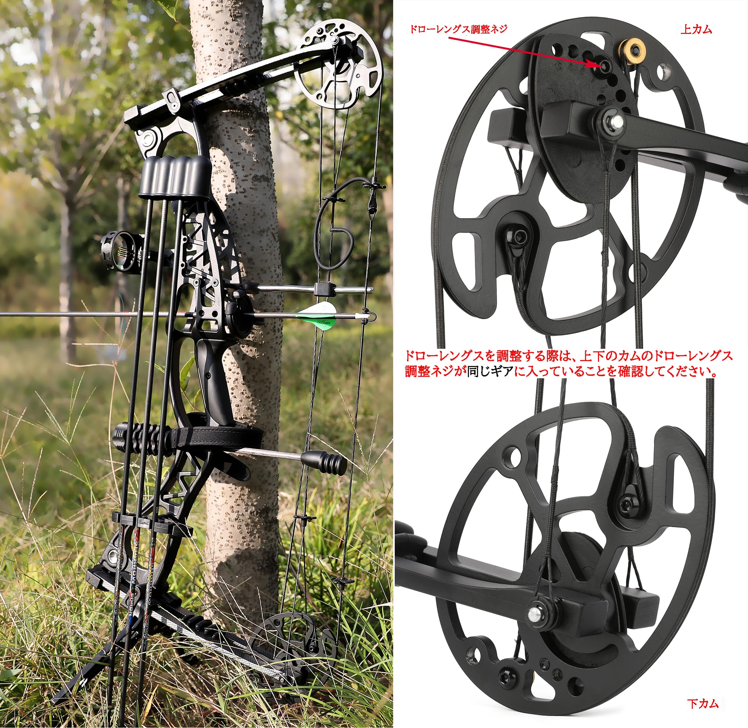 SHARROW 30-70lbsコンパウンドボウ/ドローウェイト Amazon.co.jp: SHARROW 0～70lbs コンパウンドボウ 30インチ