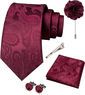 RBOCOTT Paisley Tie and Pocket square With Cufflinks,Lapel Pin,Tie Clip Sets for Men 5PCS