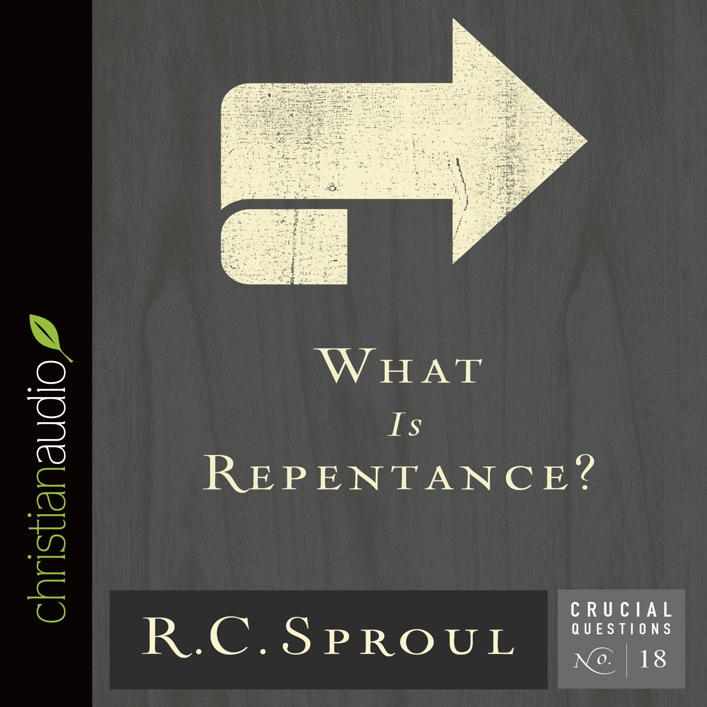 Cover art for What Is Repentance?