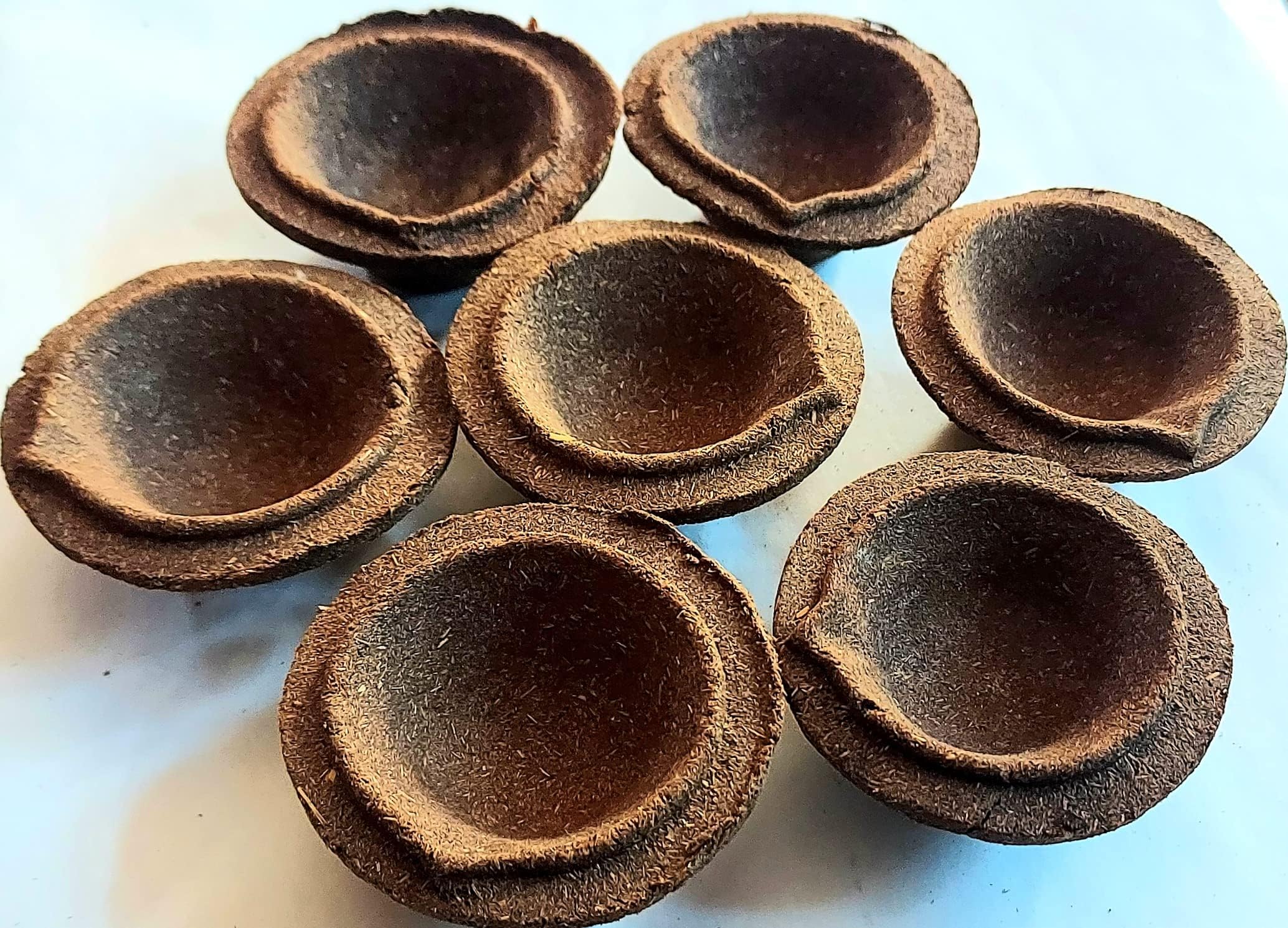 Panchgavya Biodegradable Diya Cow Dung Natural Diya