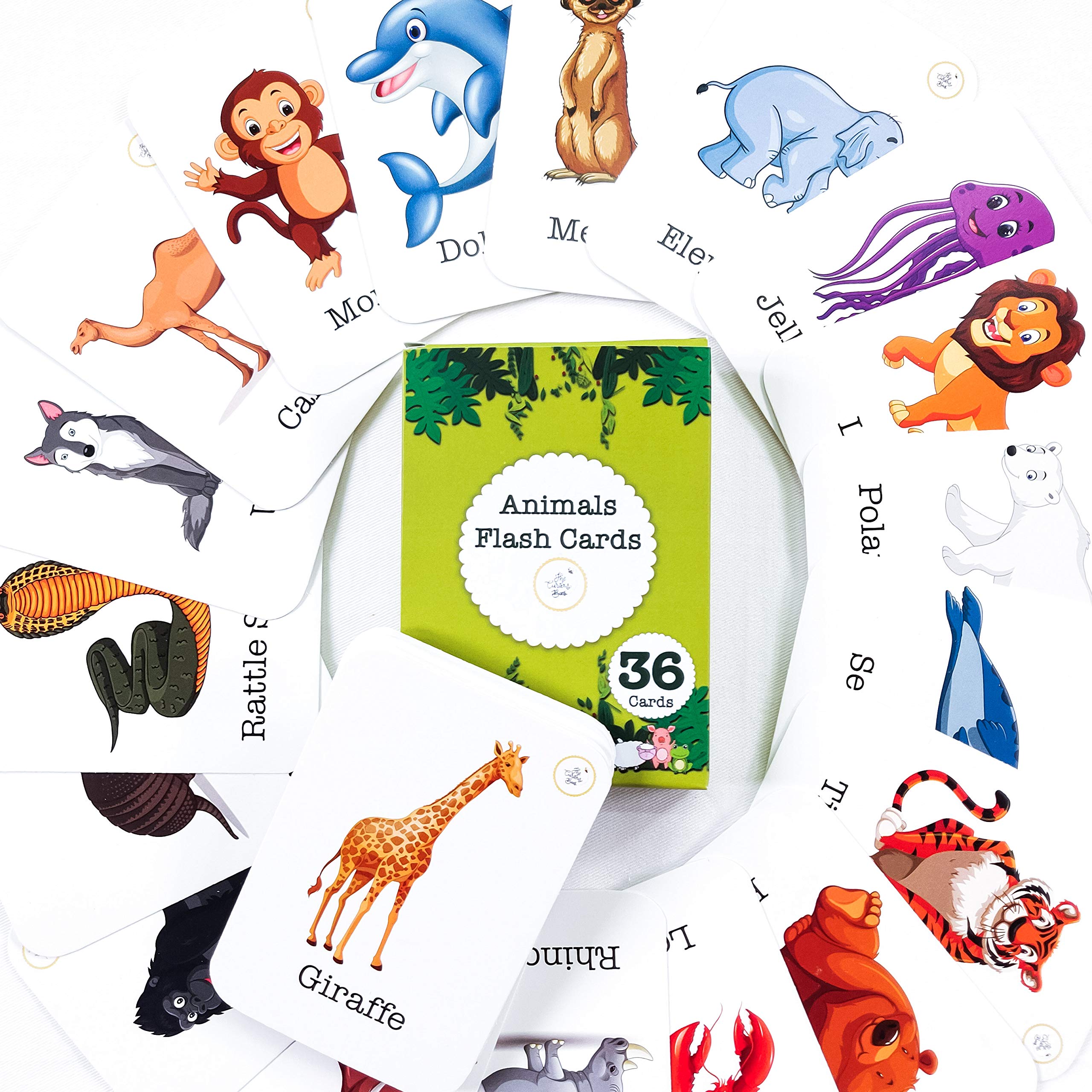 Animals Flash Cards | 36 Laminated Cards for Kids | Age Group: 1-4 Years | Fun Early Educating Activity for Kids
