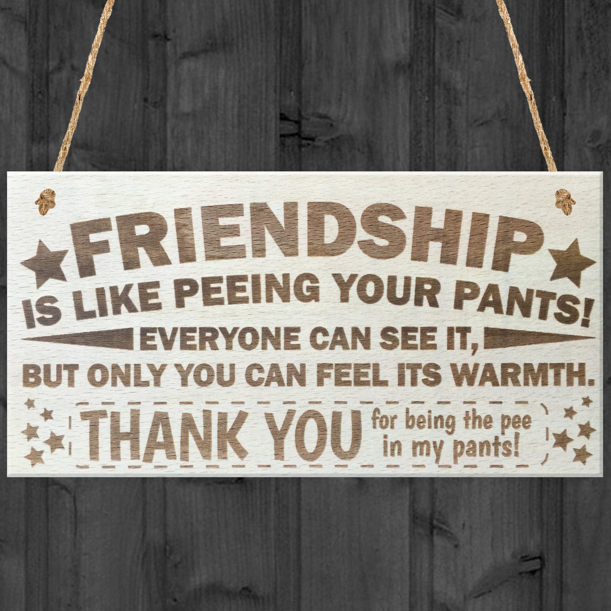Red Ocean Friendship Sign Best Friend Plaque Gift Shabby Chic Stars & Thank You - READ ME