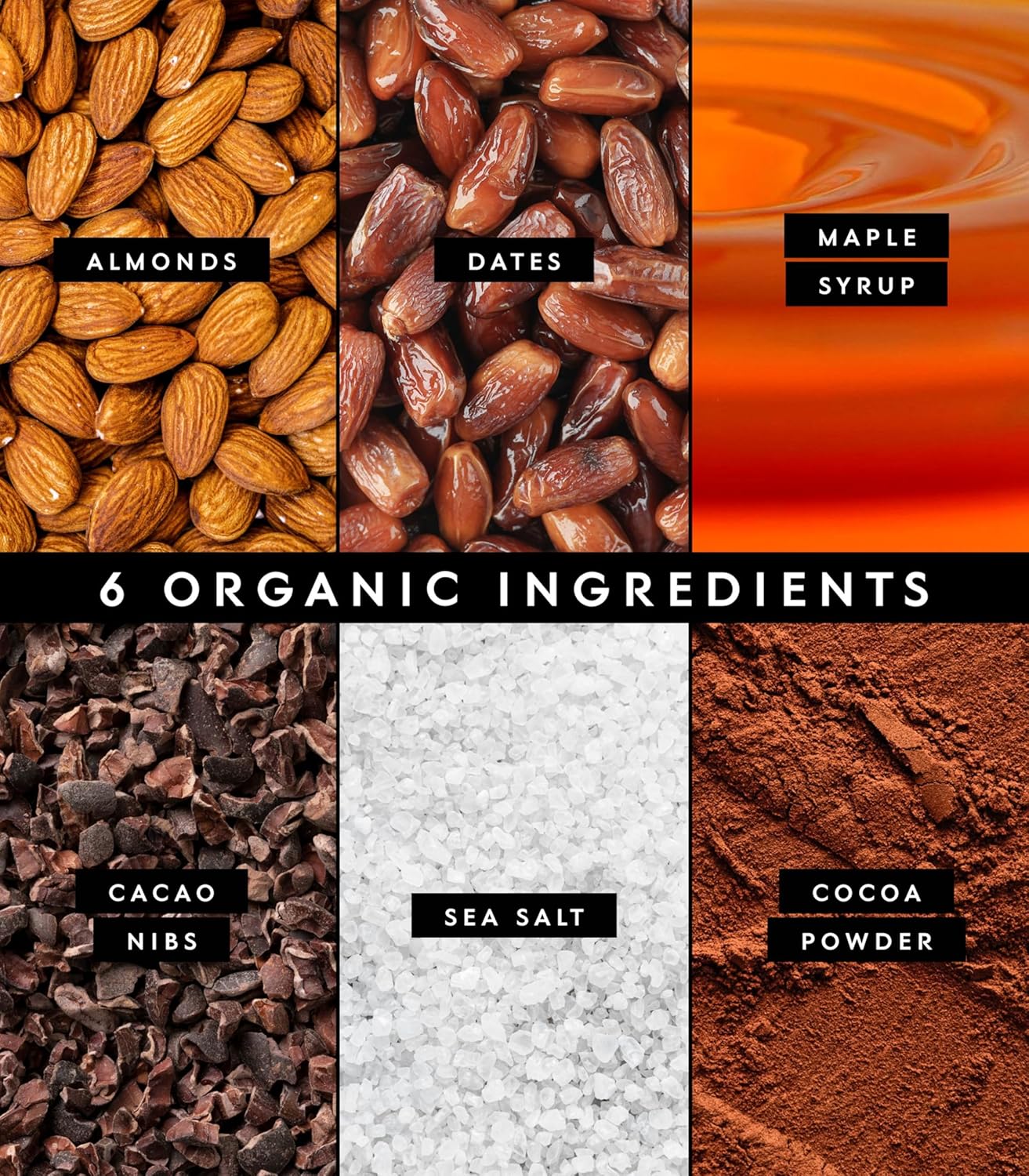 Plant Based Sna Bars | Chocolate Brownie | Protein | USDA