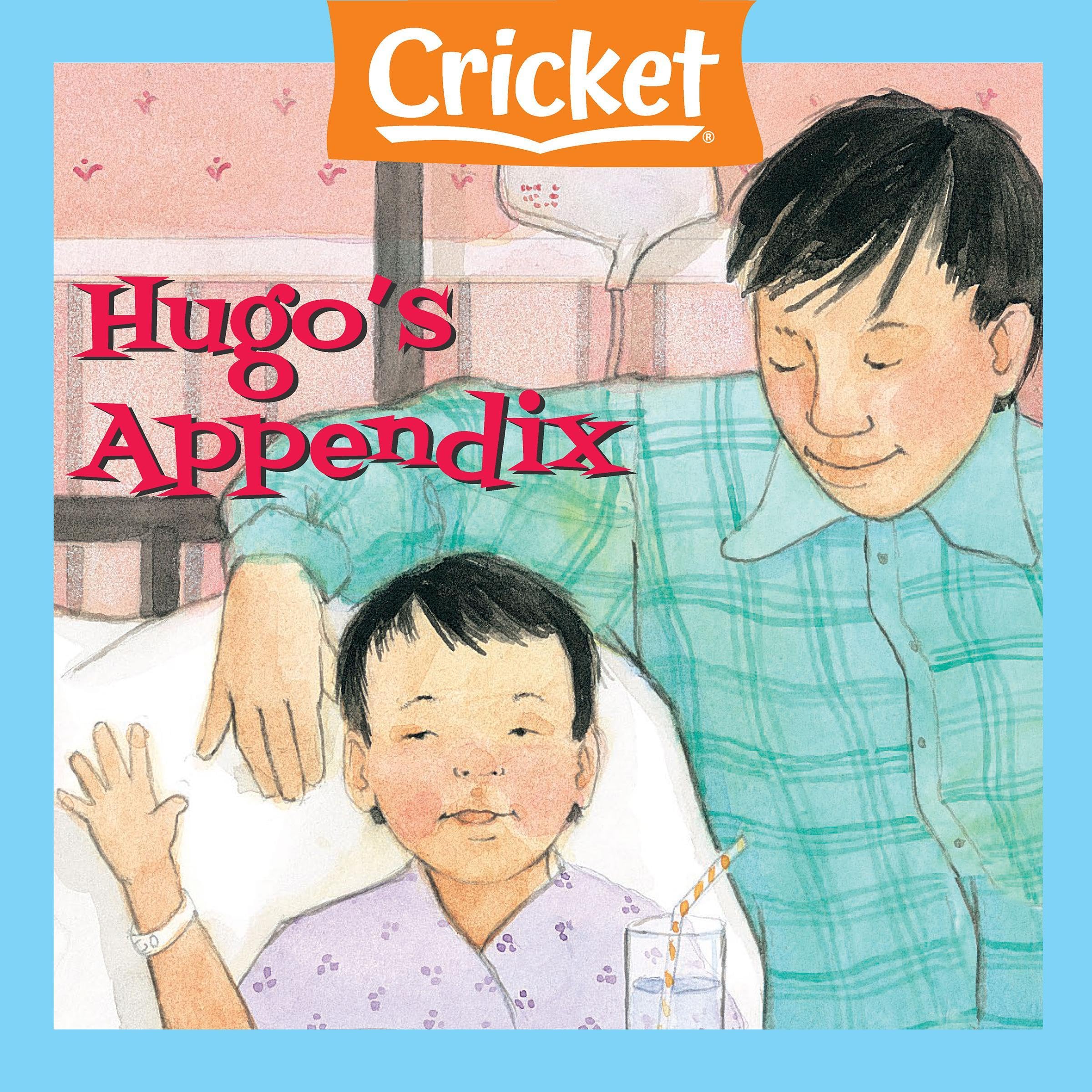 Hugo's Appendix