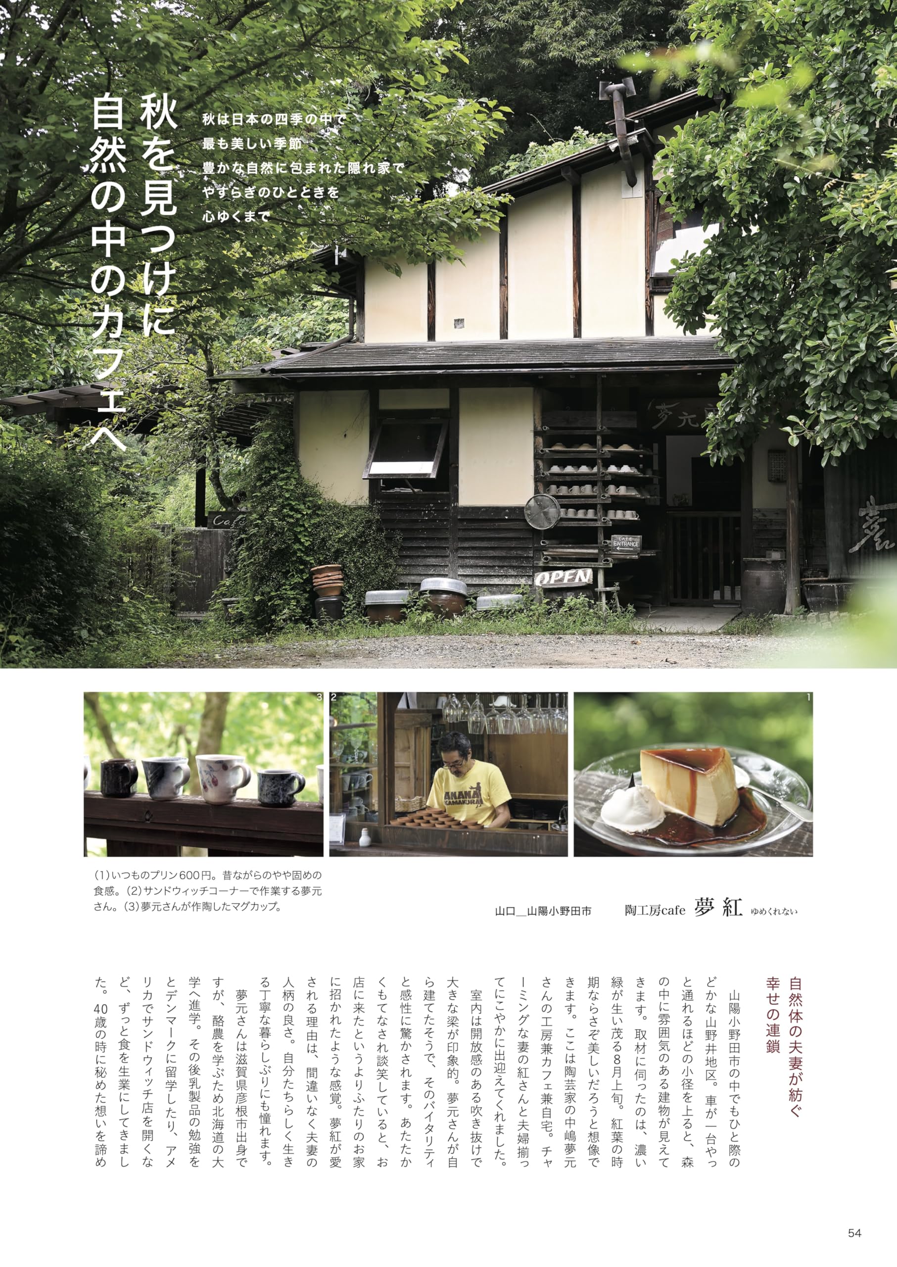 teatime♪ Amazon.co.jp: 大人のteatime