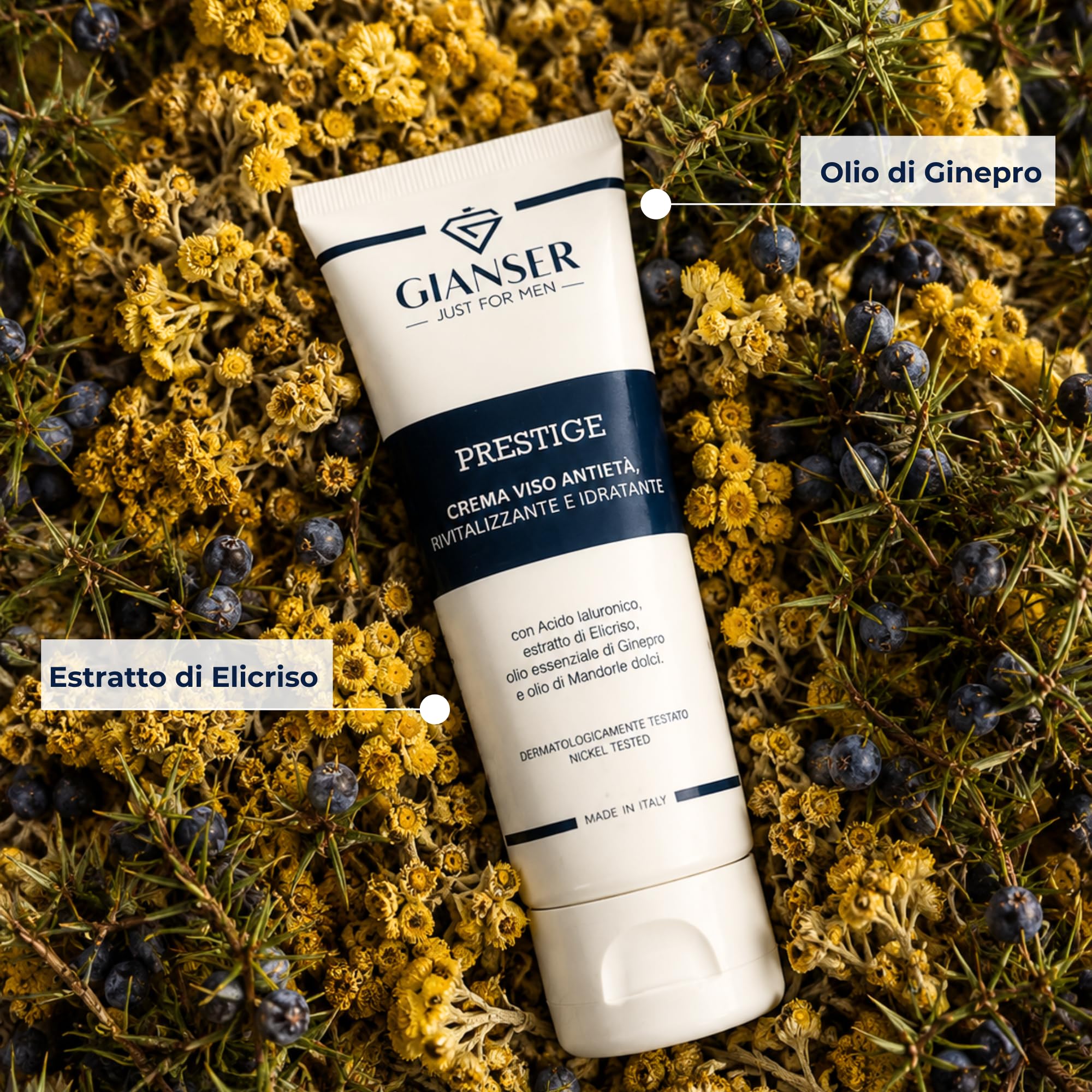 Crème Visage Anti-Âge 24H Bio-Vegan Homme | Soin Fermeté & Anti-Sébum à l'Acide Hyaluronique, Argan et Hélichryse | Peaux Matures & Mixtes | 50ml