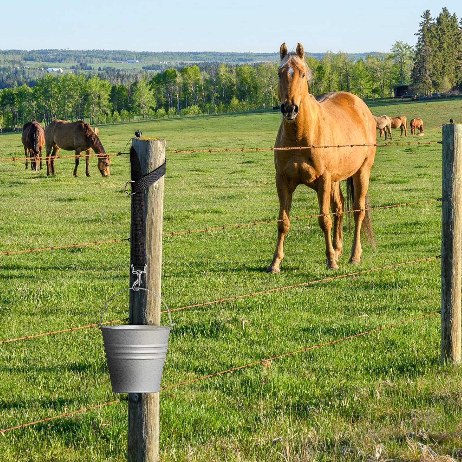 10 correas de cubo de caballo para caballos, correa ajustable de nailon para remolque, correa colgante para cubo de agua, redes de heno, cubos de agua, comederos al aire libre