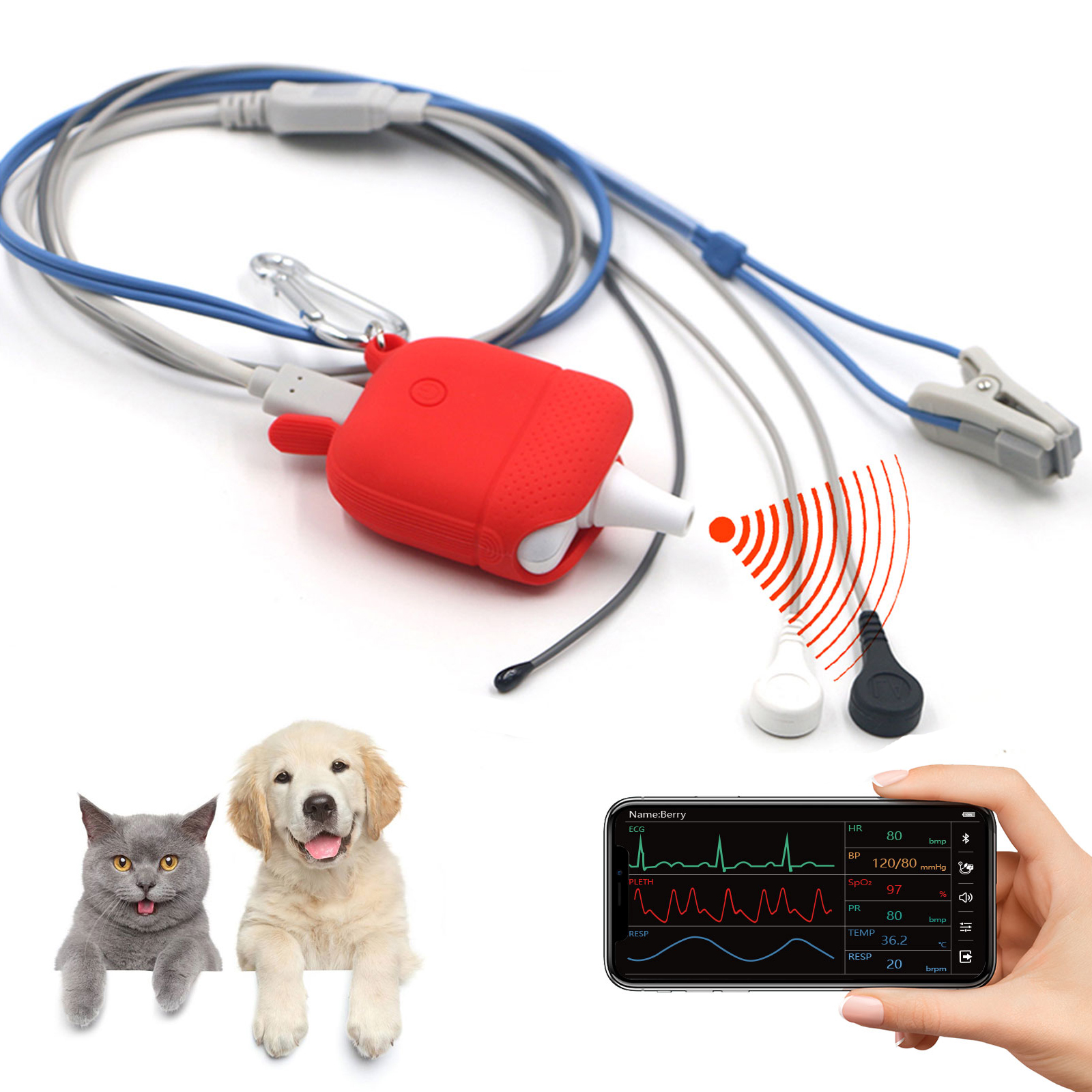 Image of Veterinary Pulse Oximeter Monitor for Dogs, Rechargeable Spo2 Oximeter Monitor for Cats, Bluetooth ECG Monitor Equipment for Pets, Portable Non-Contact Thermometer,Easy Operation & BLE4.0 Connection