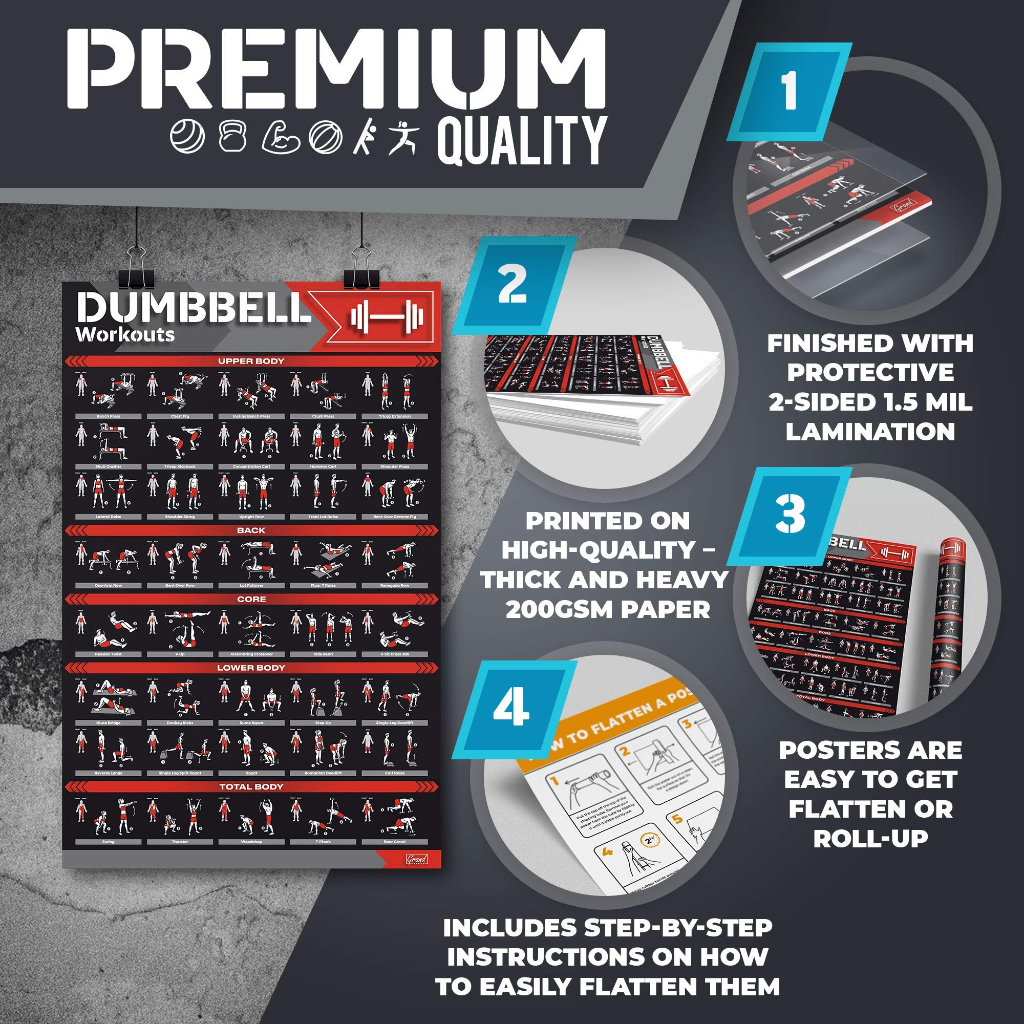 Gym Poster 12 Pack Lamnated Large Workout Poster Set Perfect Workout ...