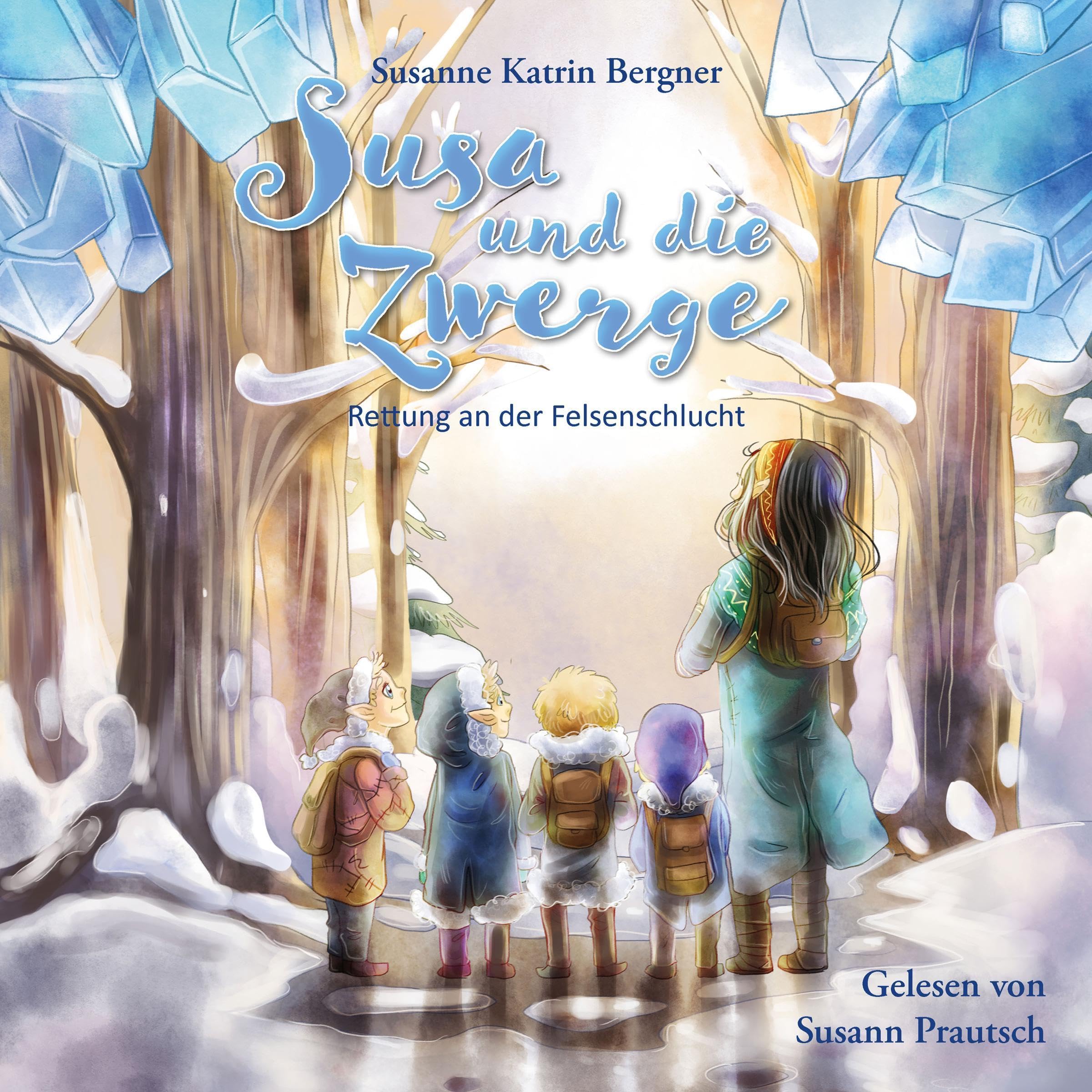 Cover art for Rettung an der Felsenschlucht