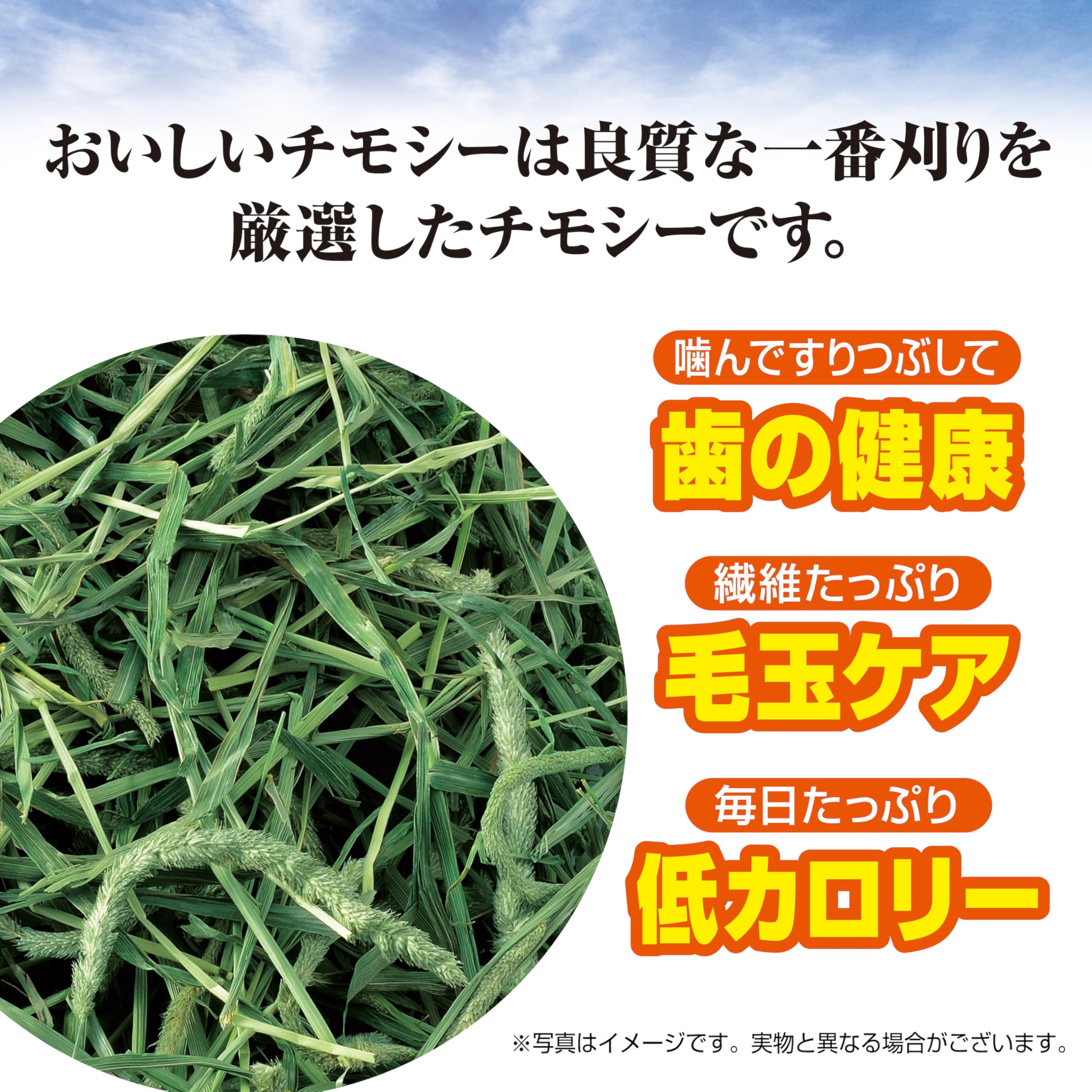 Amazon | お得用1.2kg ジェックス 香りきわだつおいしいチモシー 厳選