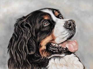 Original art, Bernese Mountain Dog, Frame-able Print Artist Tracey Earl. Size A5 (148 x 210 mm) UNFRAMED.