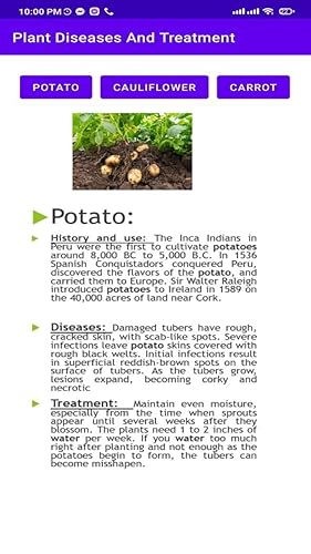 Plant Diseases And Treatment
