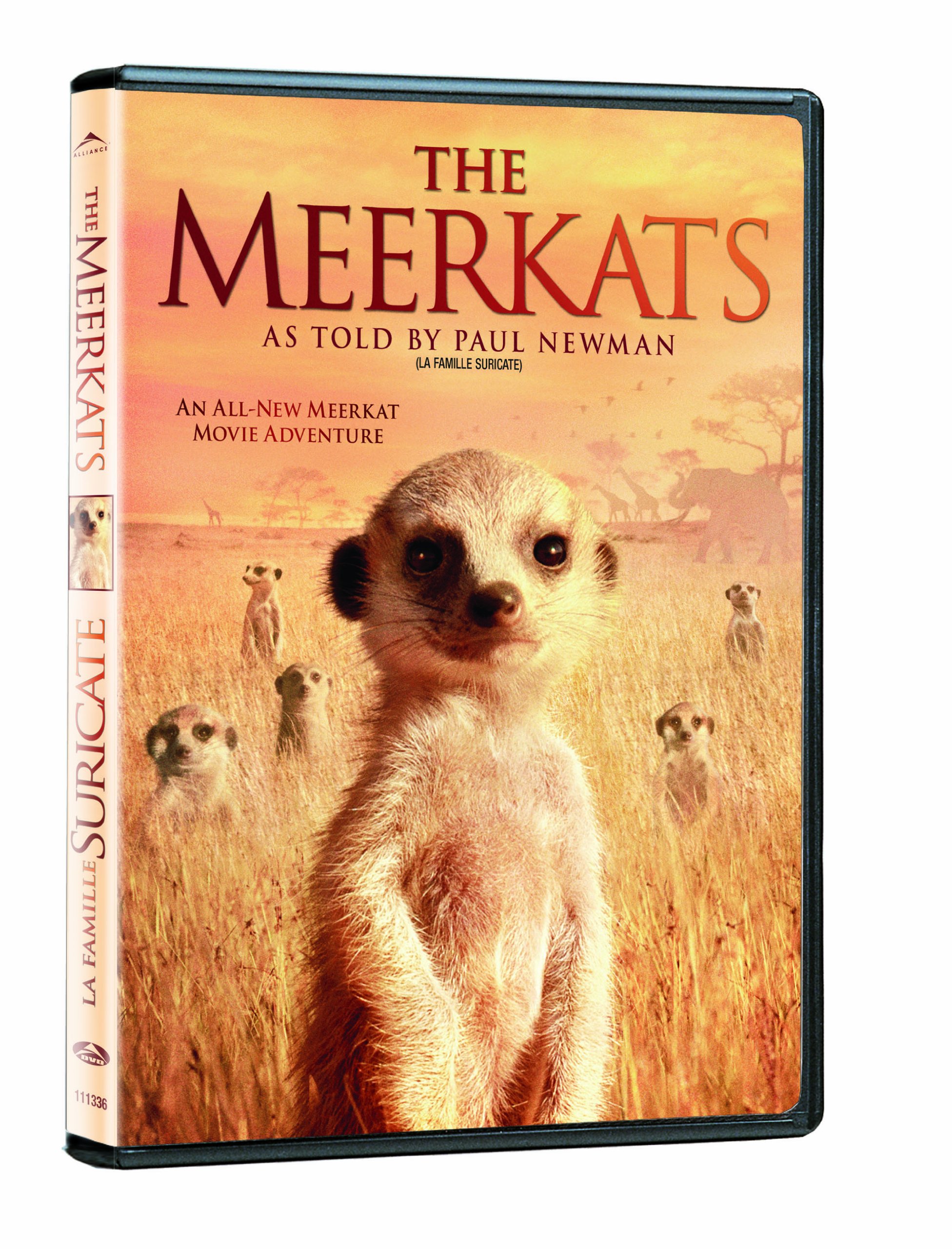 Meerkats [DVD]