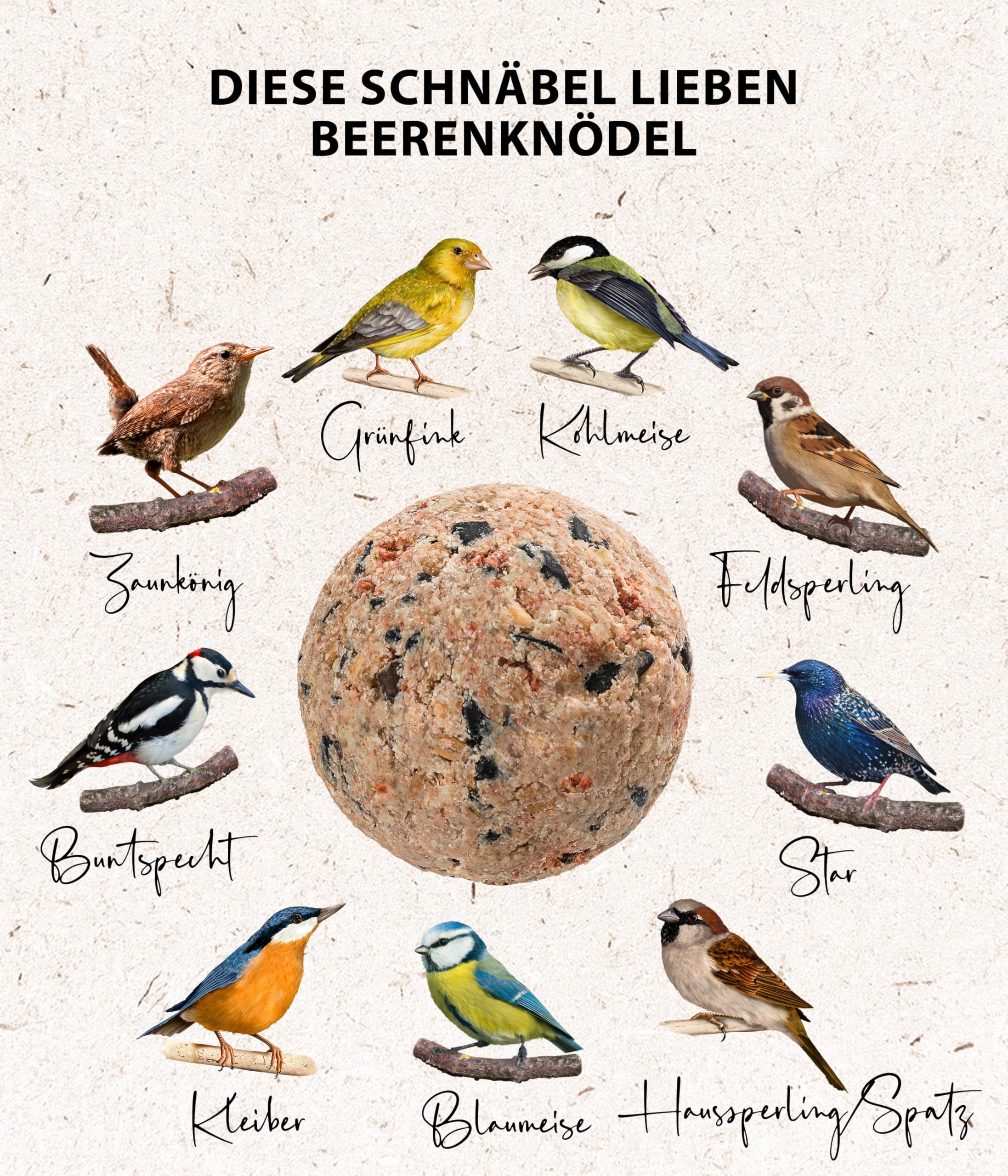 Dehner Natura Premium Meisenknödel ohne Netz, Beerenknödel, ganzjähriges Wildvogelfutter proteinreich / energiereich, 100 Stück je 90 g (9 kg), Karton aus FSC-zertifizierter Produktion