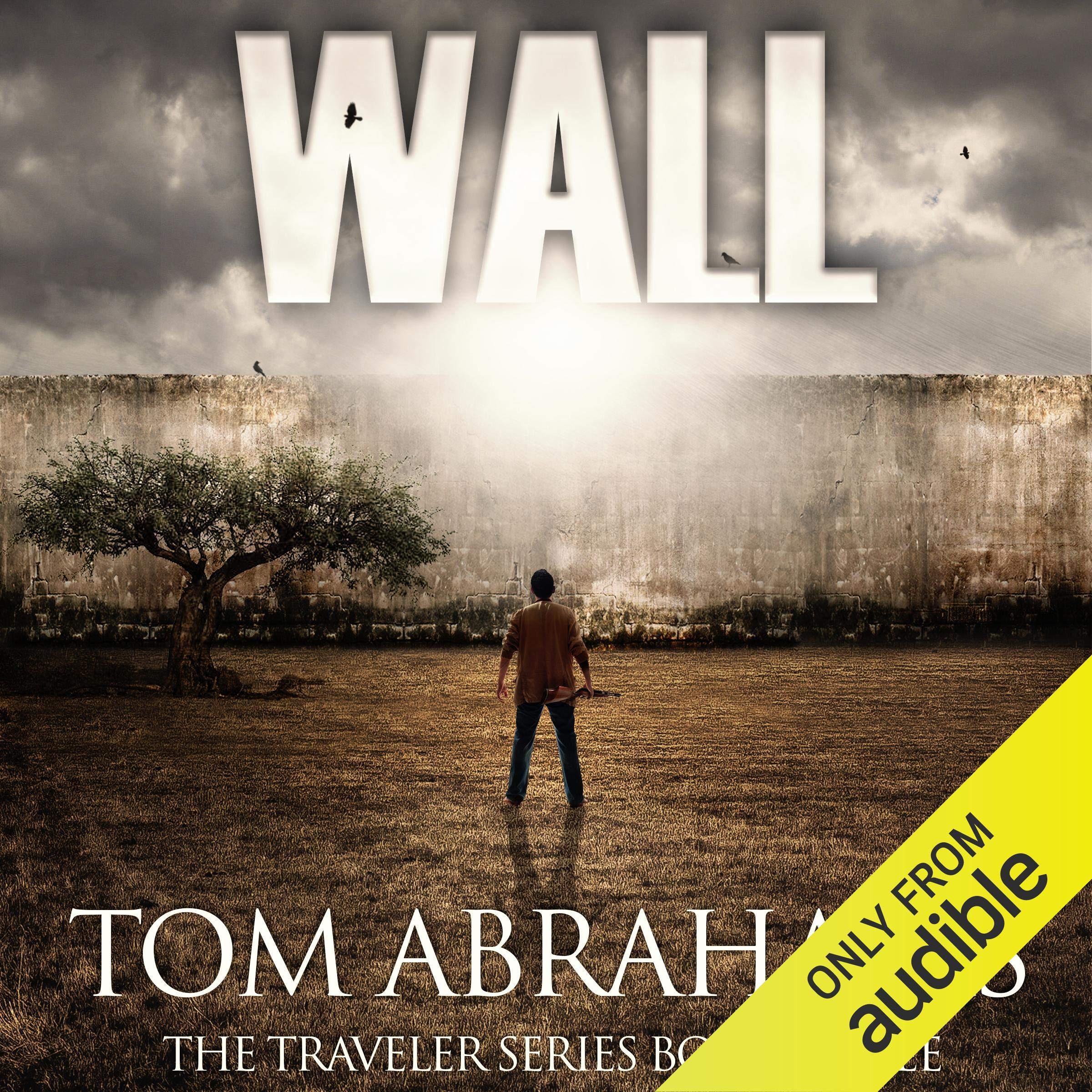 Cover art for Wall: A Post Apocalyptic/Dystopian Adventure