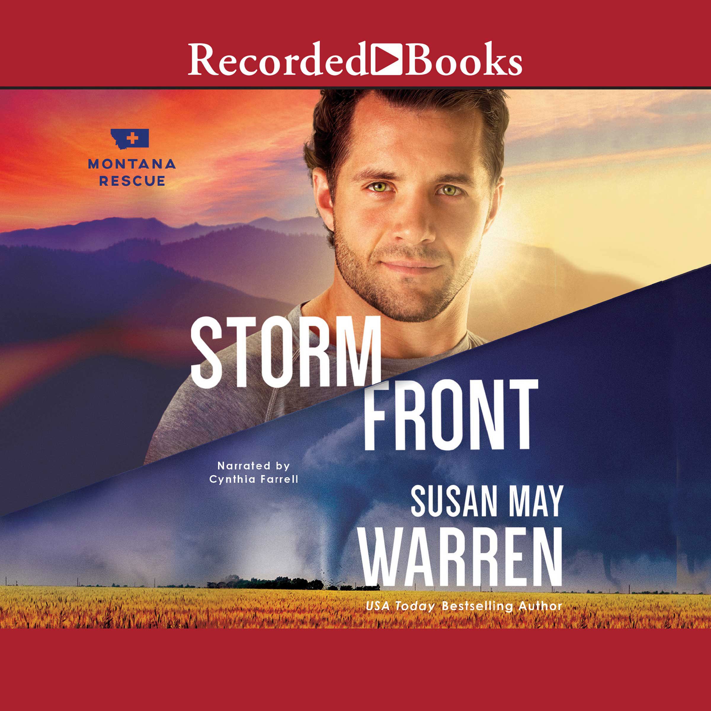 Cover art for Storm Front