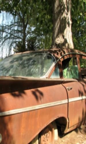 Abandoned Car Photos – vue 3