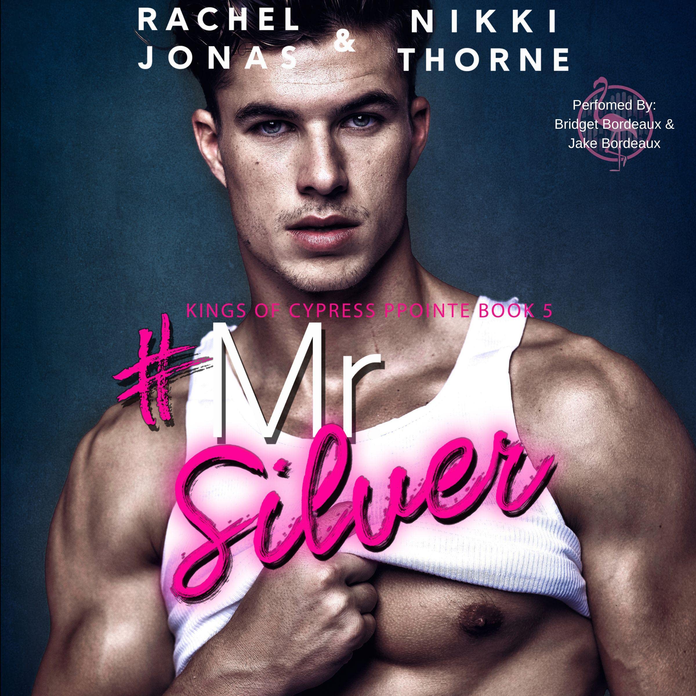 Cover art for Mr. Silver