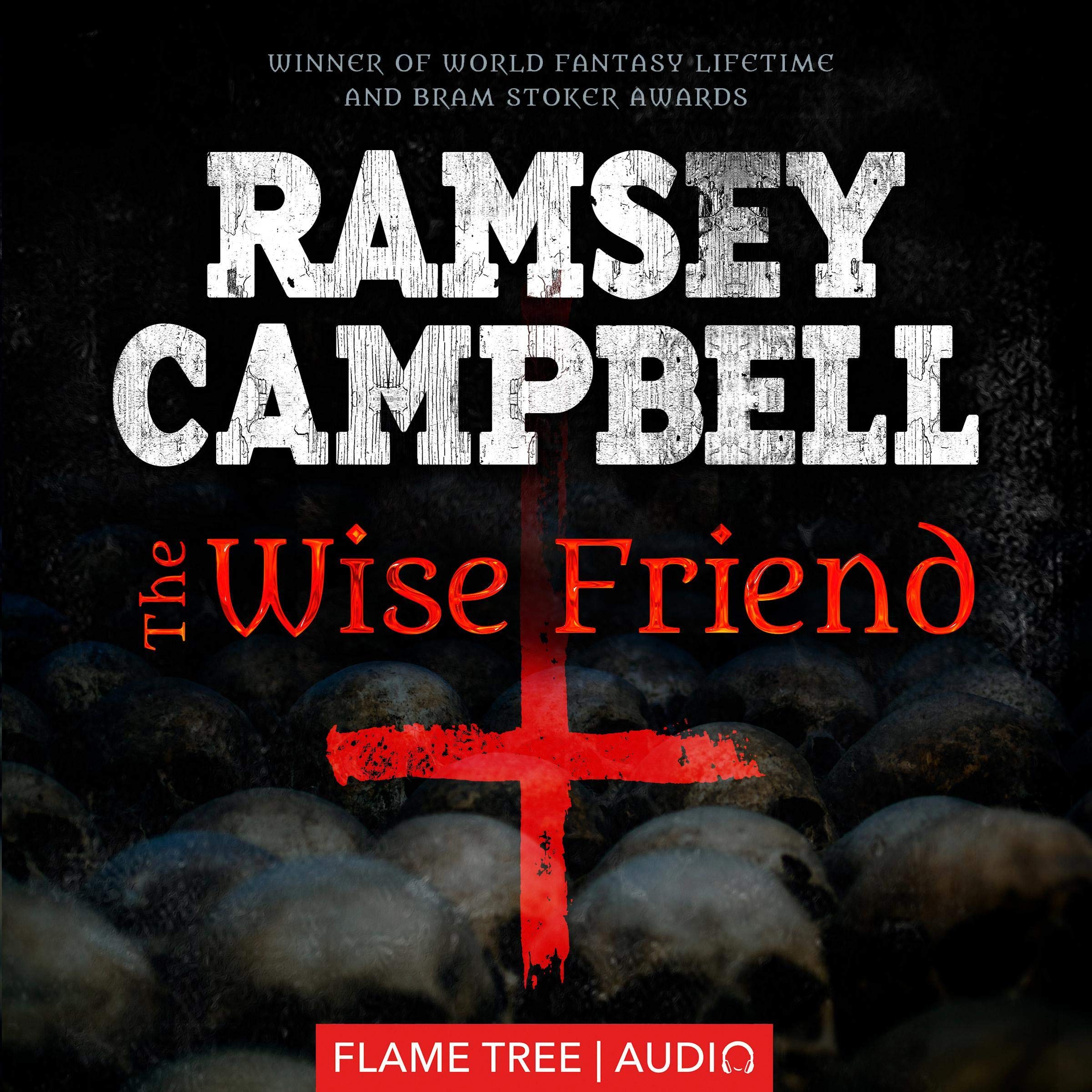 Cover art for The Wise Friend