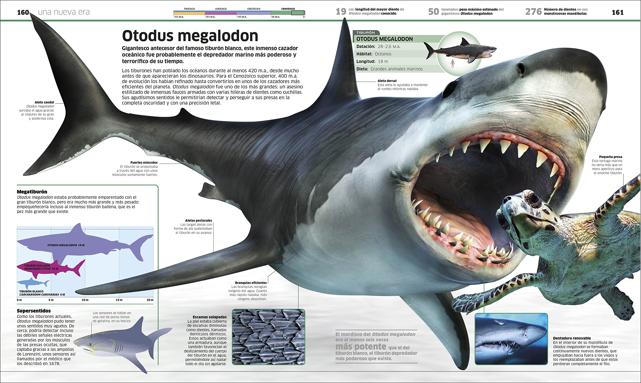 DINOSAURIOS: Más de 60 criaturas prehistóricas como nunca antes las habías visto (Enciclopedia visual juvenil)