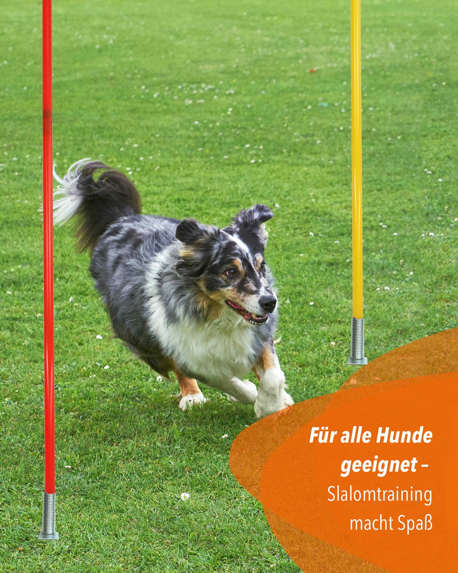 Pied à bascule combiné en métal avec barre de slalom 180 cm - Lot de 4 - Barre pour slalom et entraînement de coordination - Pour football et sports canins - Kit de slalom