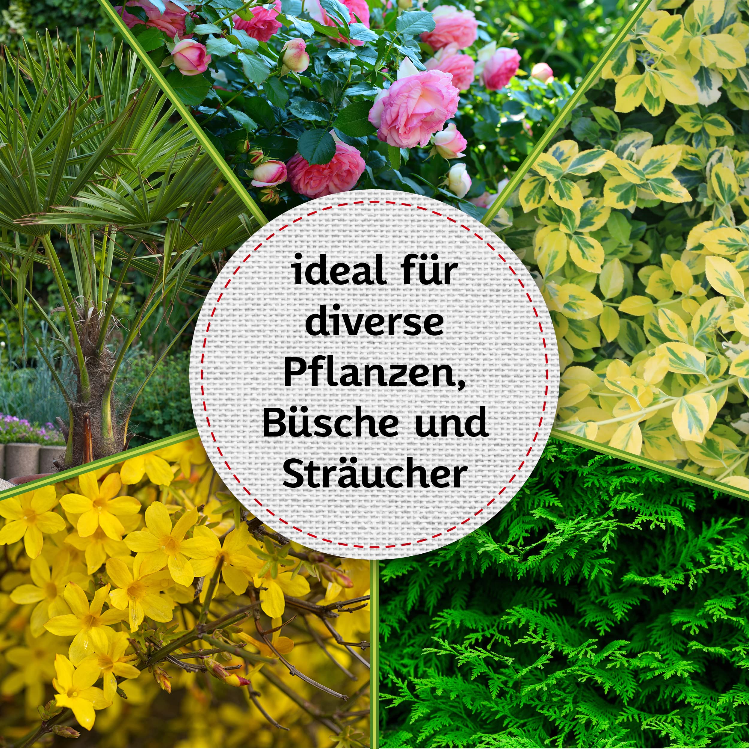 TTL Garden Protezione Invernale Per Piante 200x240 Cm - Tessuto Non Tessuto 80 G/m², Beige, Con Cerniera E Cordino